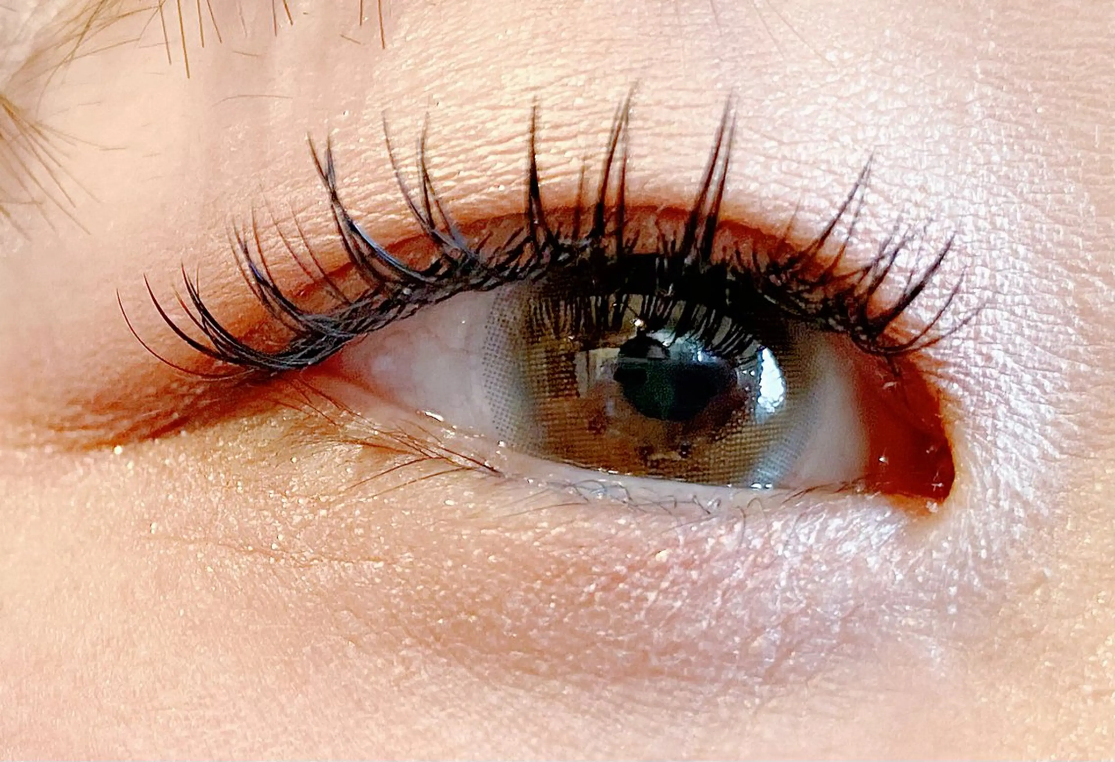 フラットラッシュ140本エクステモデルさん募集中!【ご希望の方🫧下まつ毛エクステ20本〜30本無料+30分】の写真