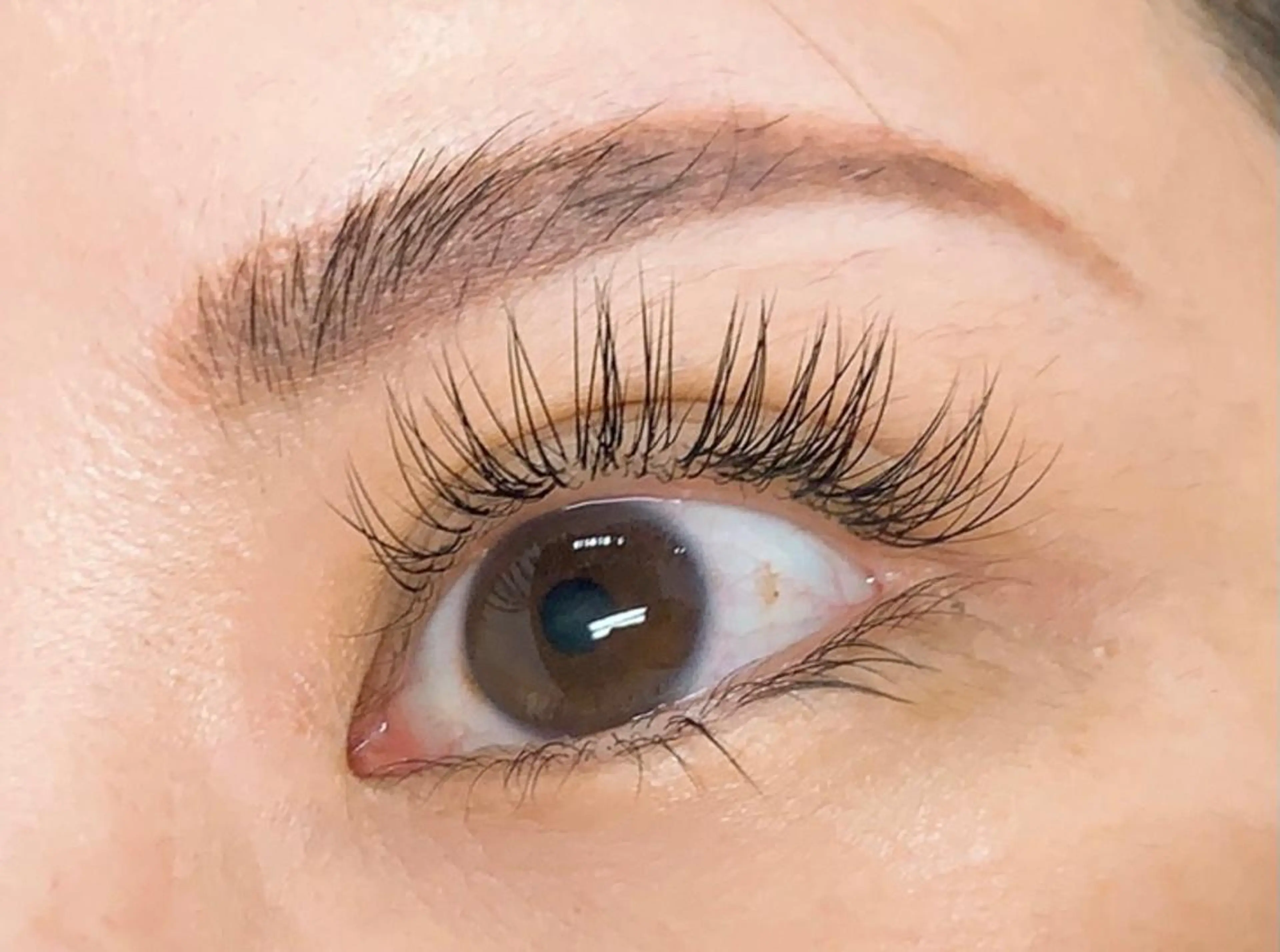 セーブル140本上下振分自由¥6000の写真