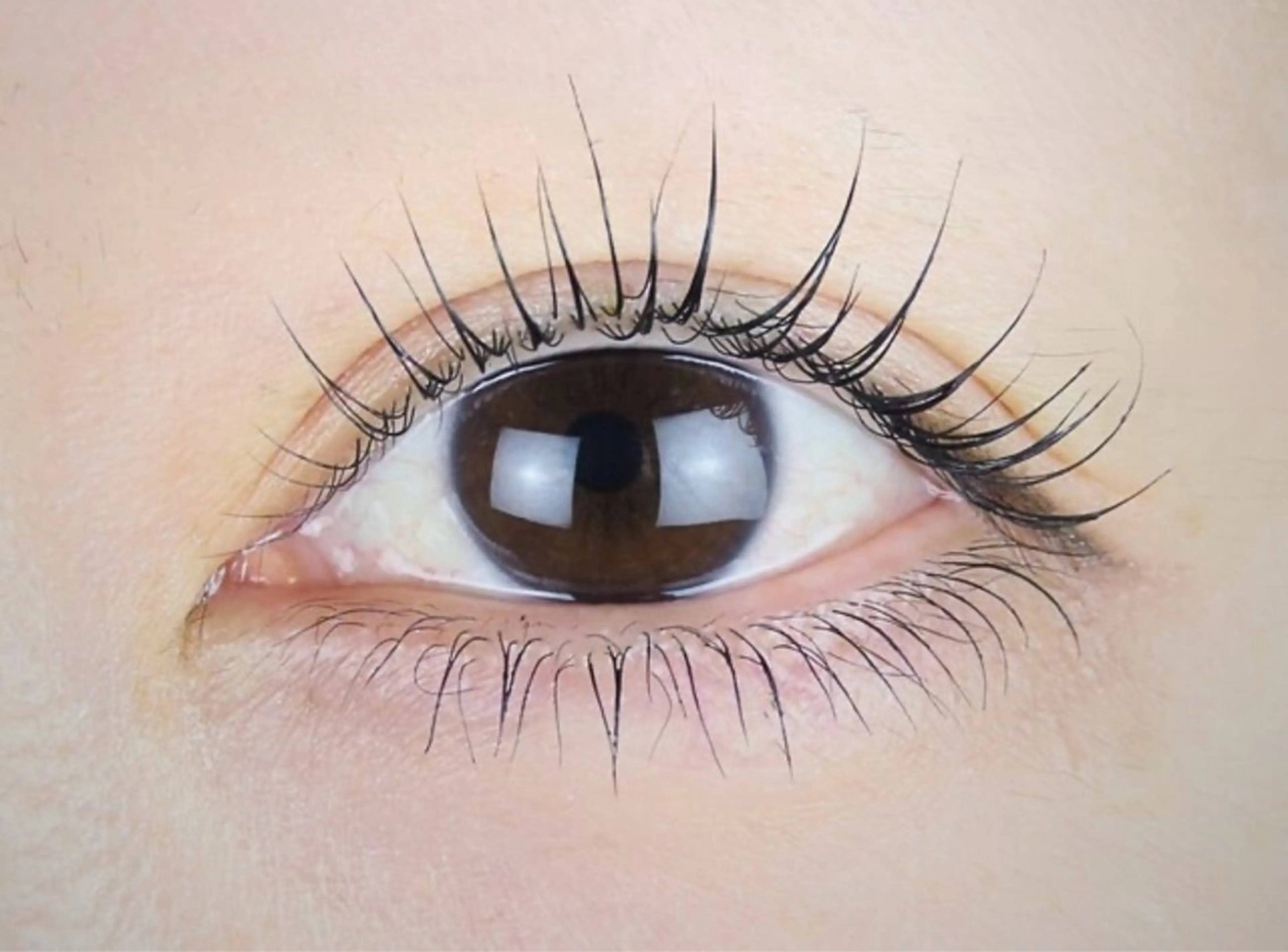 贅沢4点マスカラパーマ(メーテル・C・L・Uカール・パリジェンヌ)の写真