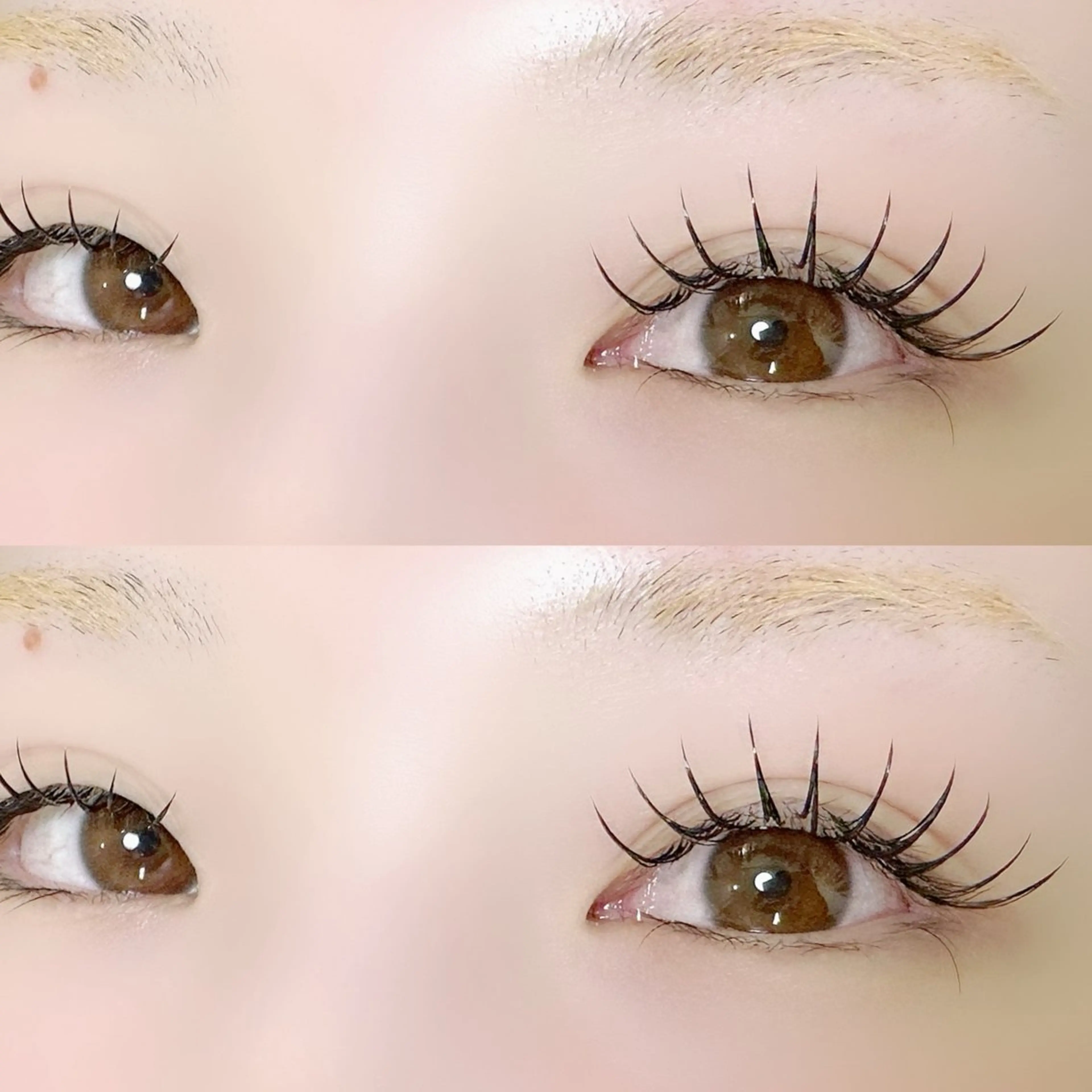 マツエク・マツパ フラットラッシュ マツエク alice tokyo中山★のマツエク・マツパデザイン