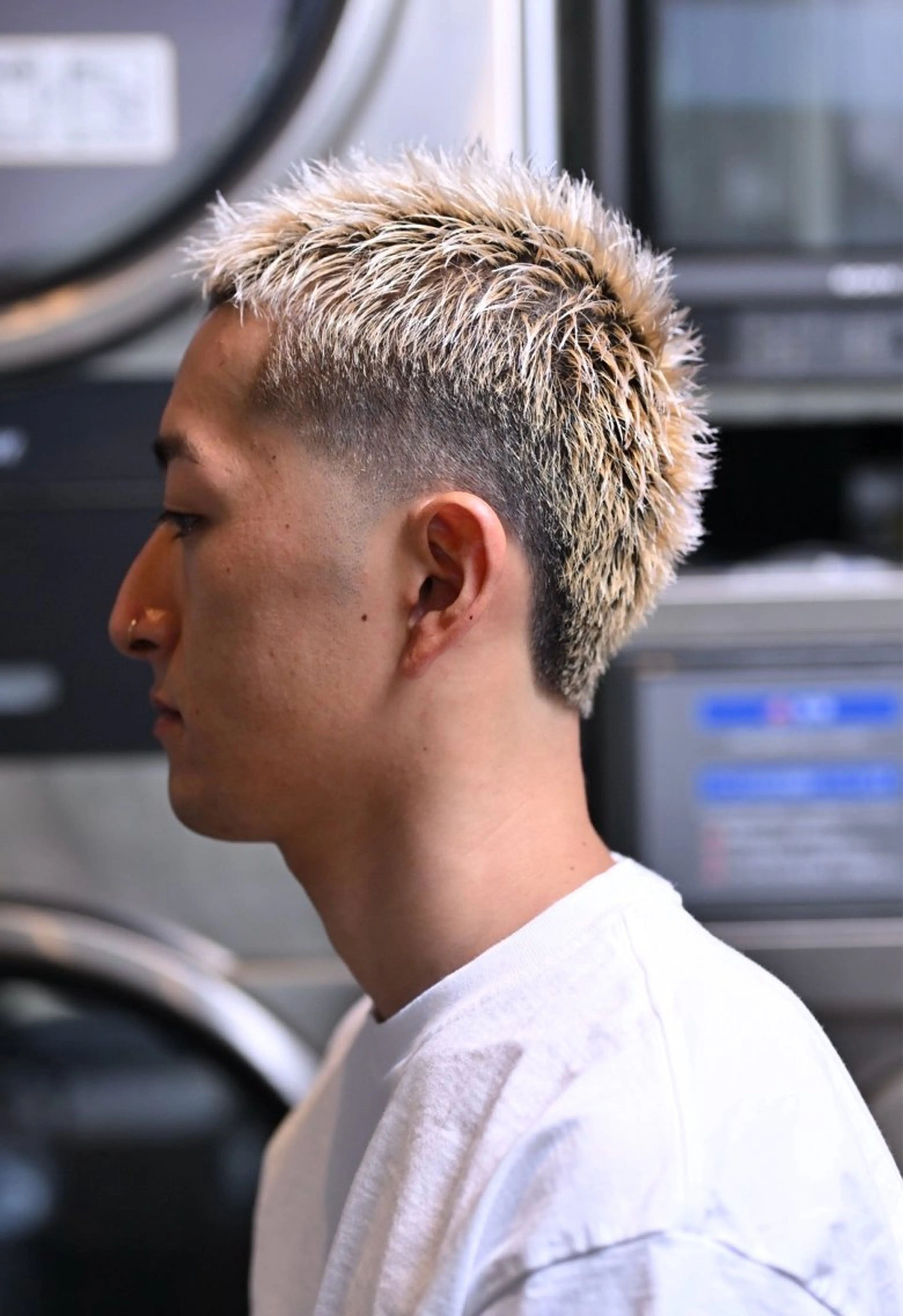 マレットフェードの写真