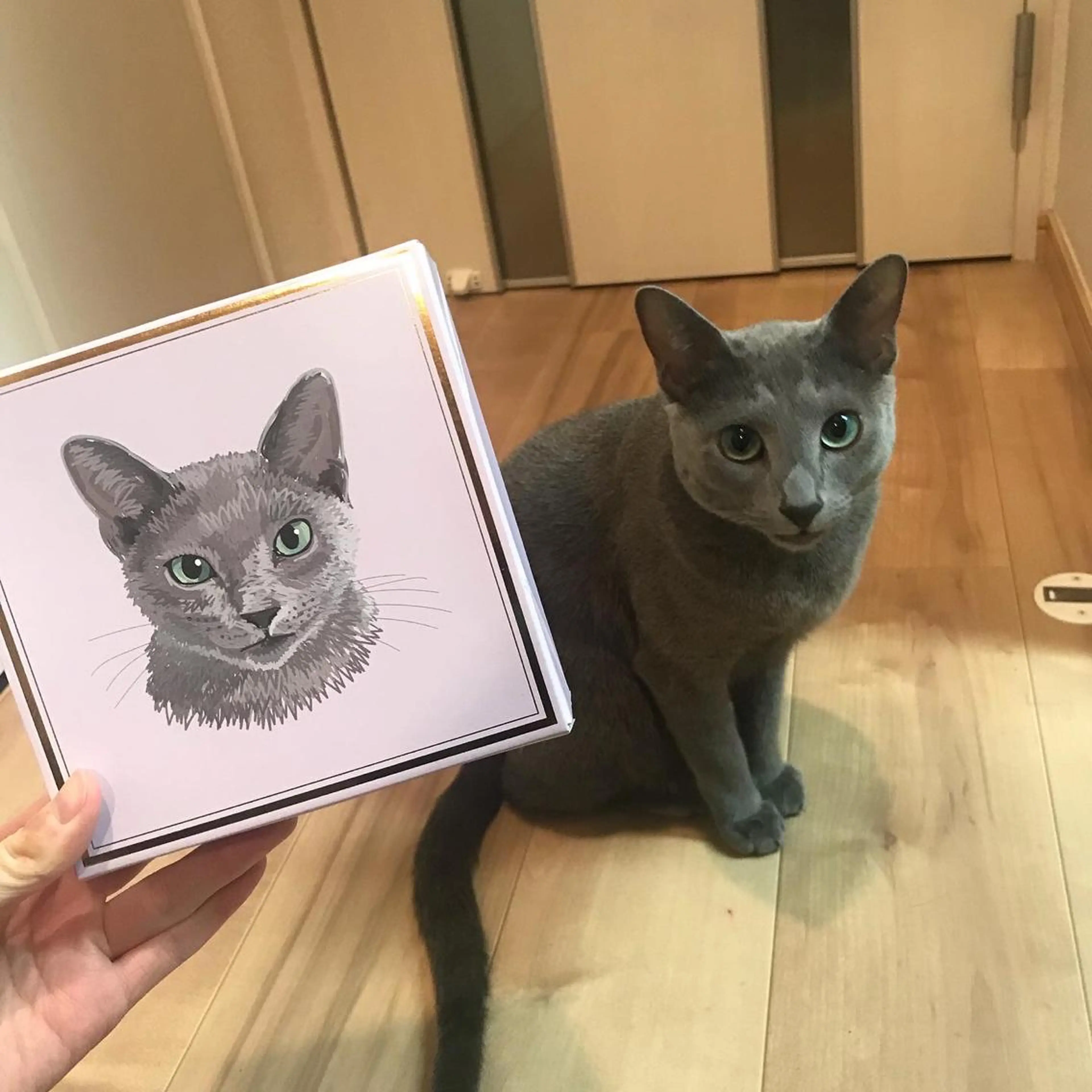 ショート カラー パーマ ヘアアレンジ メンズ キッズ ネイル マツエク・マツパ アニメ,Vオタク× 即効痩せエステサロンのエステ・リラクイメージ