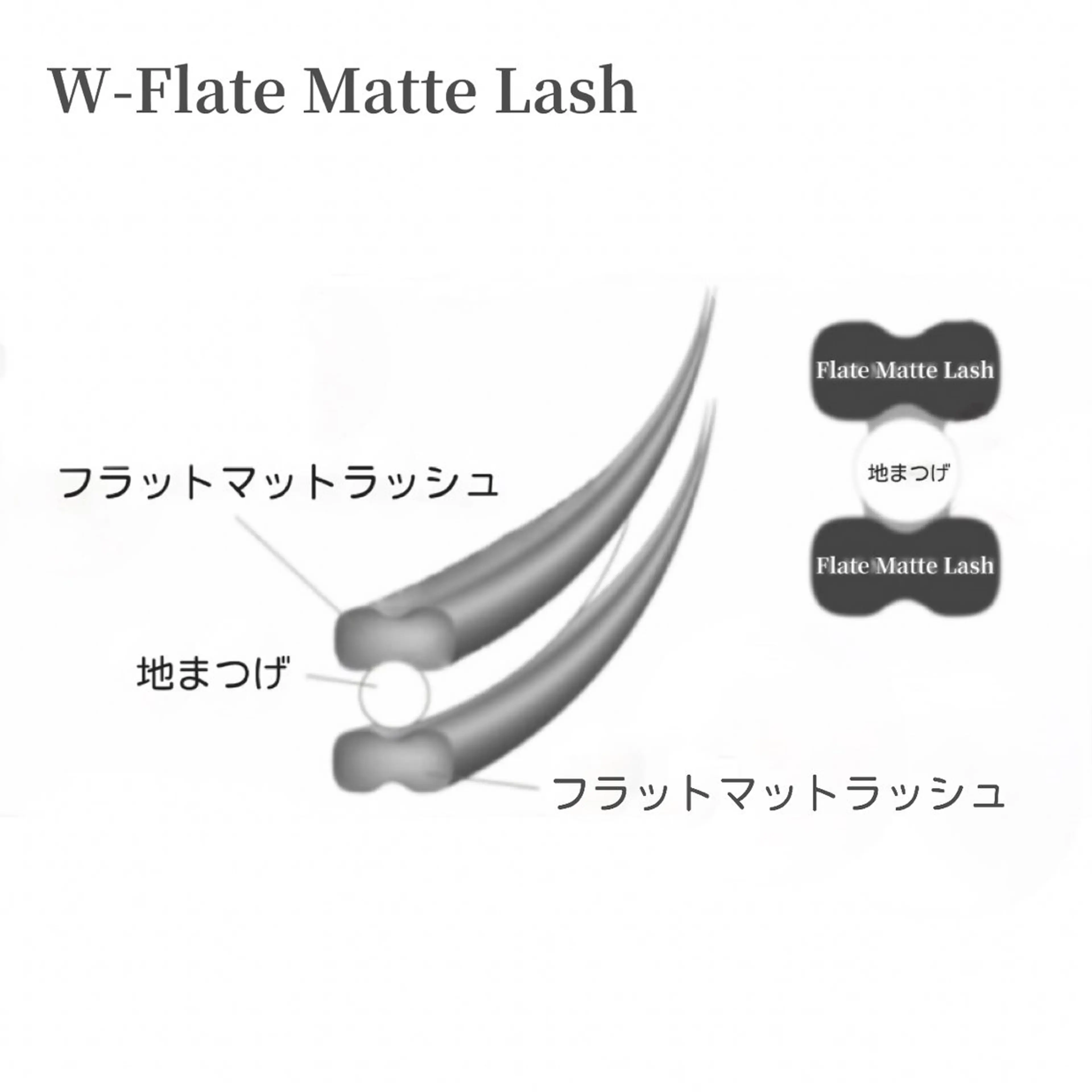 【 超軽量!密着!高品質! Wフラットマットラッシュ✨100束から♪】今までに体感した事のない持続力!の写真