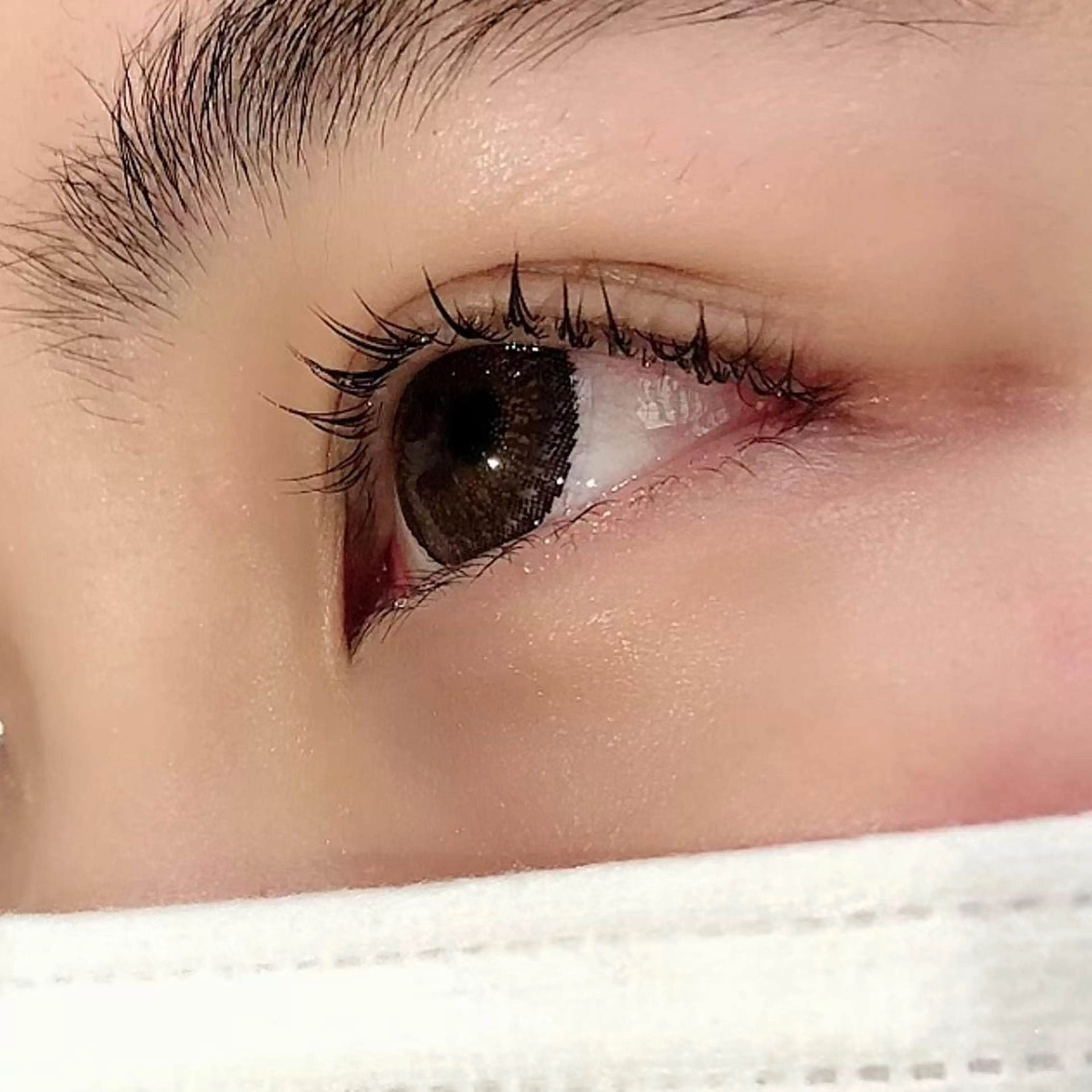 🇰🇷🕊️マスカラ　ラッシュリフト　ブラックエッセンスでコーティング　＋10分です。の写真