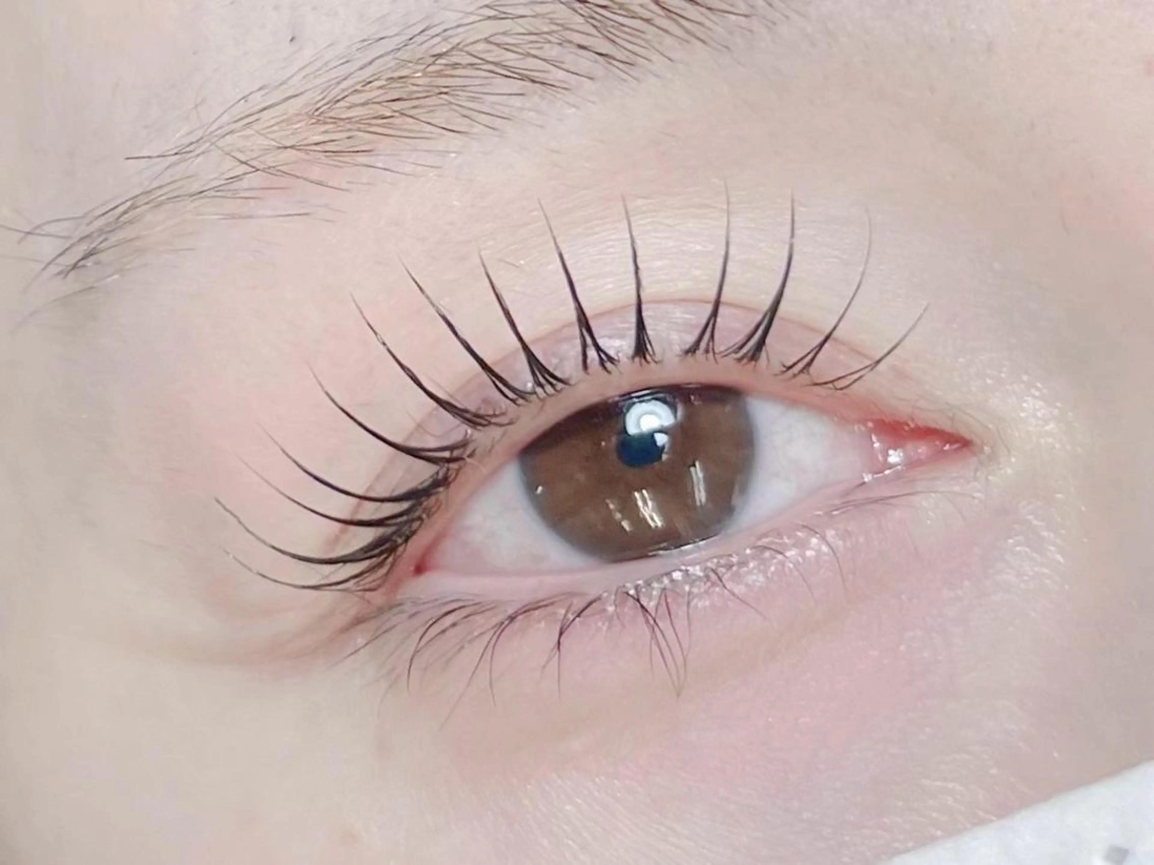 マツエク・マツパ BeckyLash 札幌アカデミー 0のマツエク・マツパデザイン