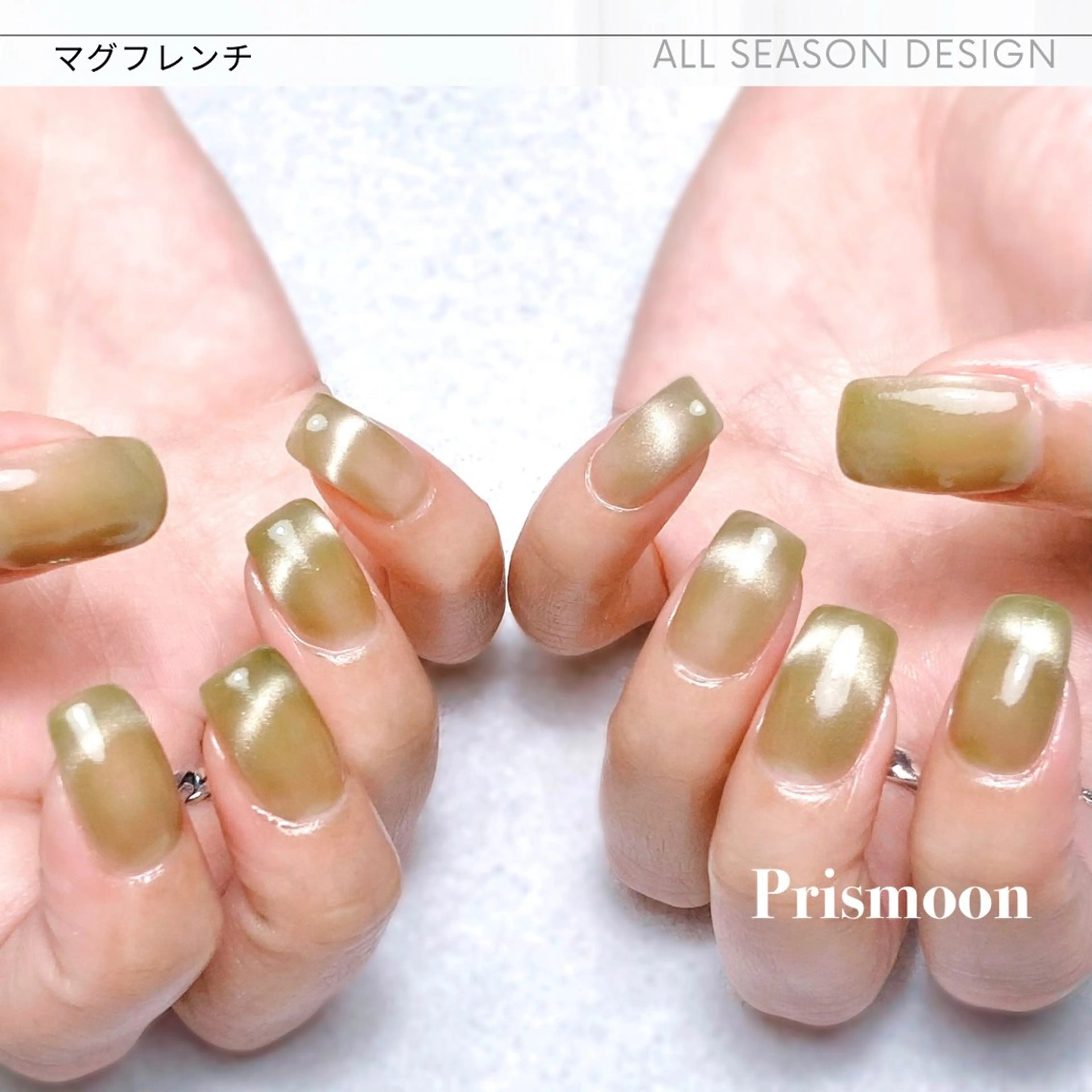 ネイル マグネットネイル Prismoon  Nail所属・Prismoon /津市ネイルのネイルデザイン