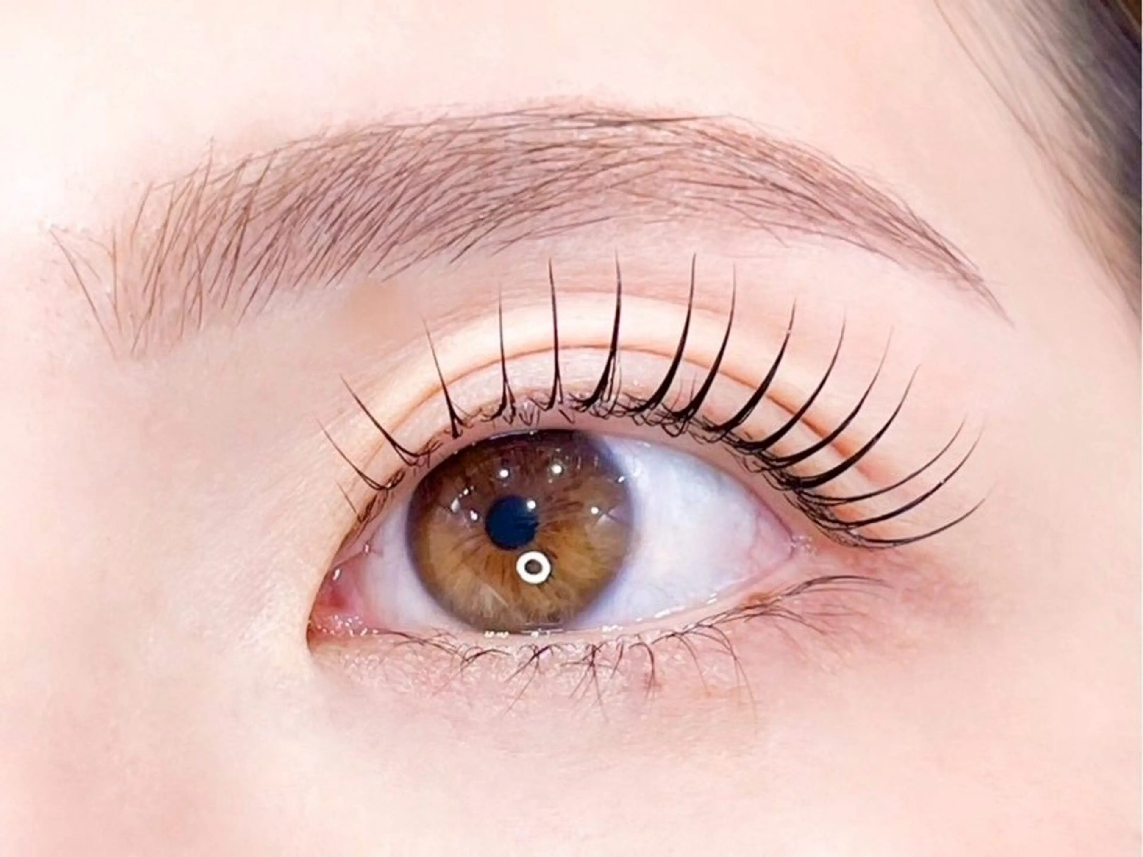 マツパ&アイブロウワックスの写真