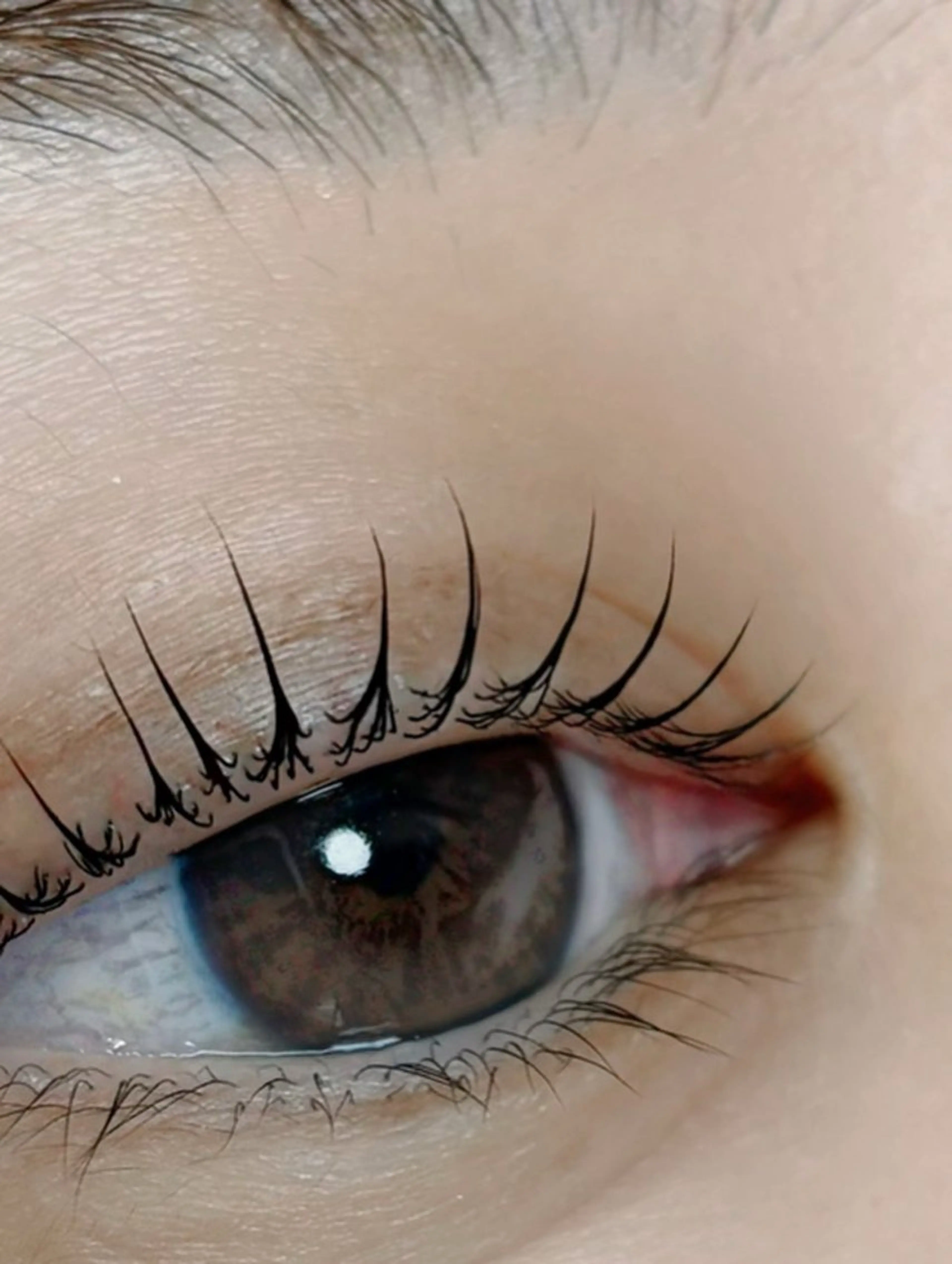 マツエク・マツパ マツパ 垢抜け眉WAX専門 ちゅるんまつげ|鎌倉の眉毛・アイブロウイメージ