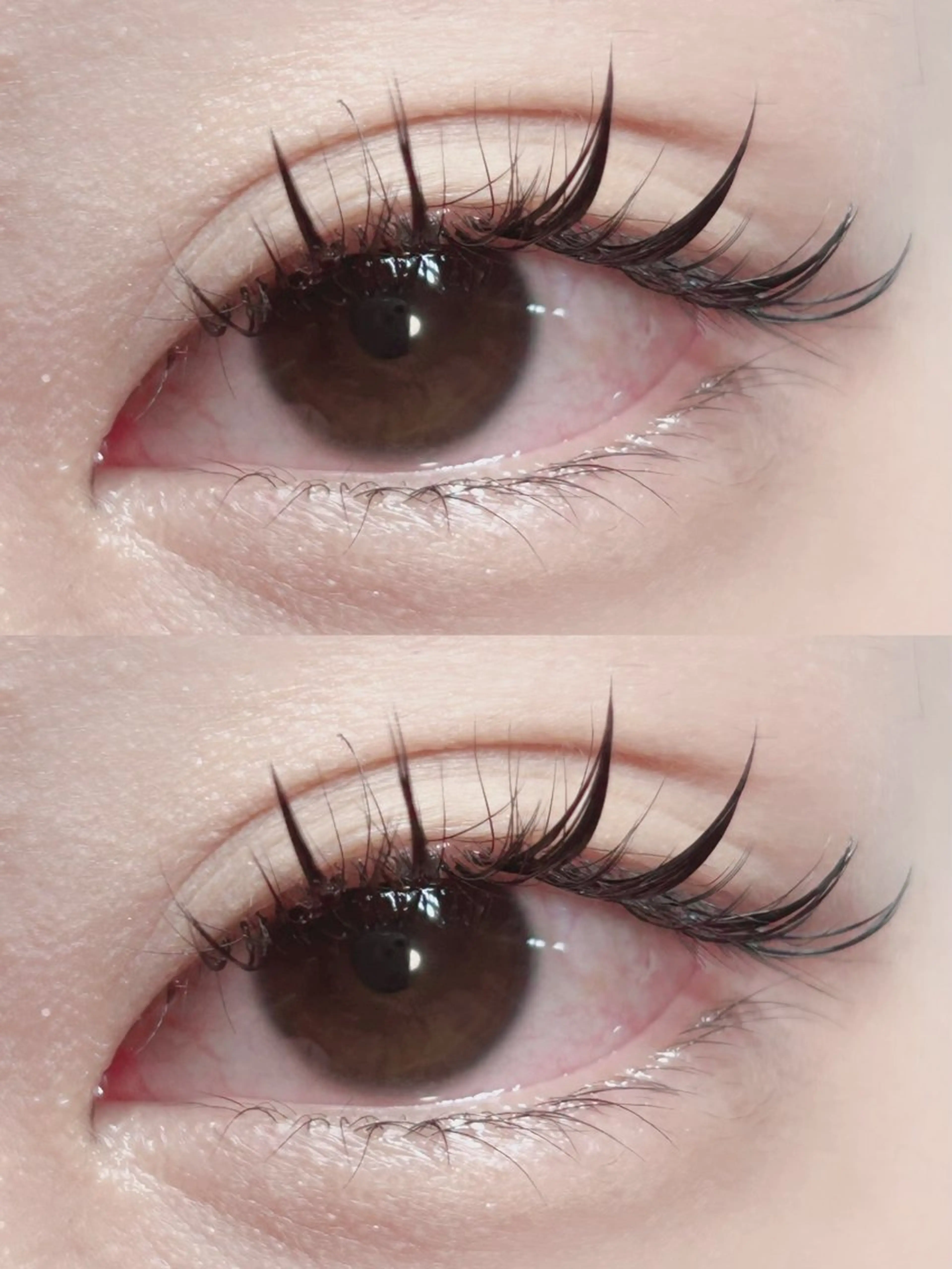 マツエク・マツパ ワンホンデザイン 専門店 FOIのマツエク・マツパデザイン