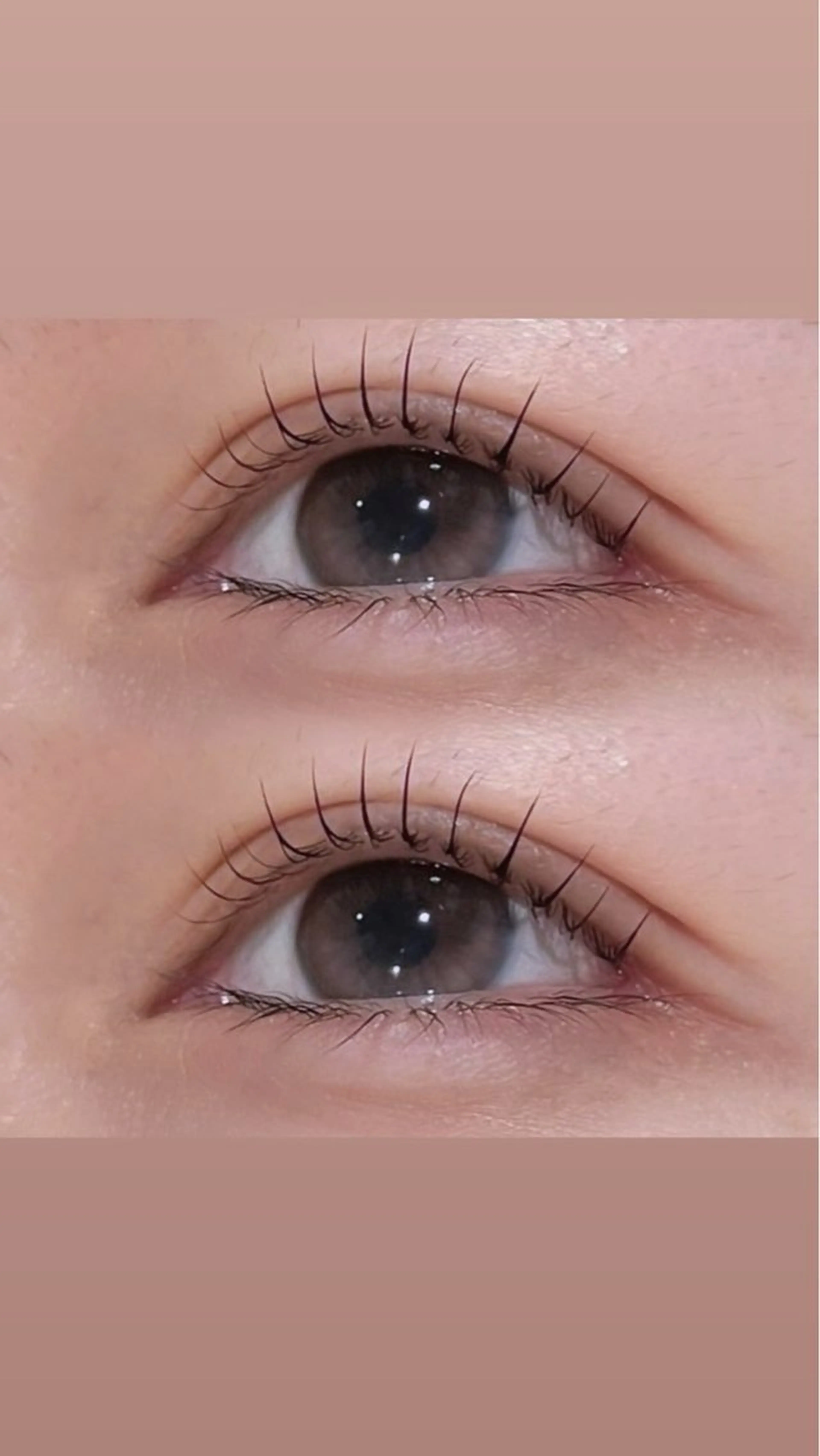 ‎🤍期間限定‎🤍上下まつ毛パーマ🎀 【目をぱっちりで中顔面短縮に✨️】の写真