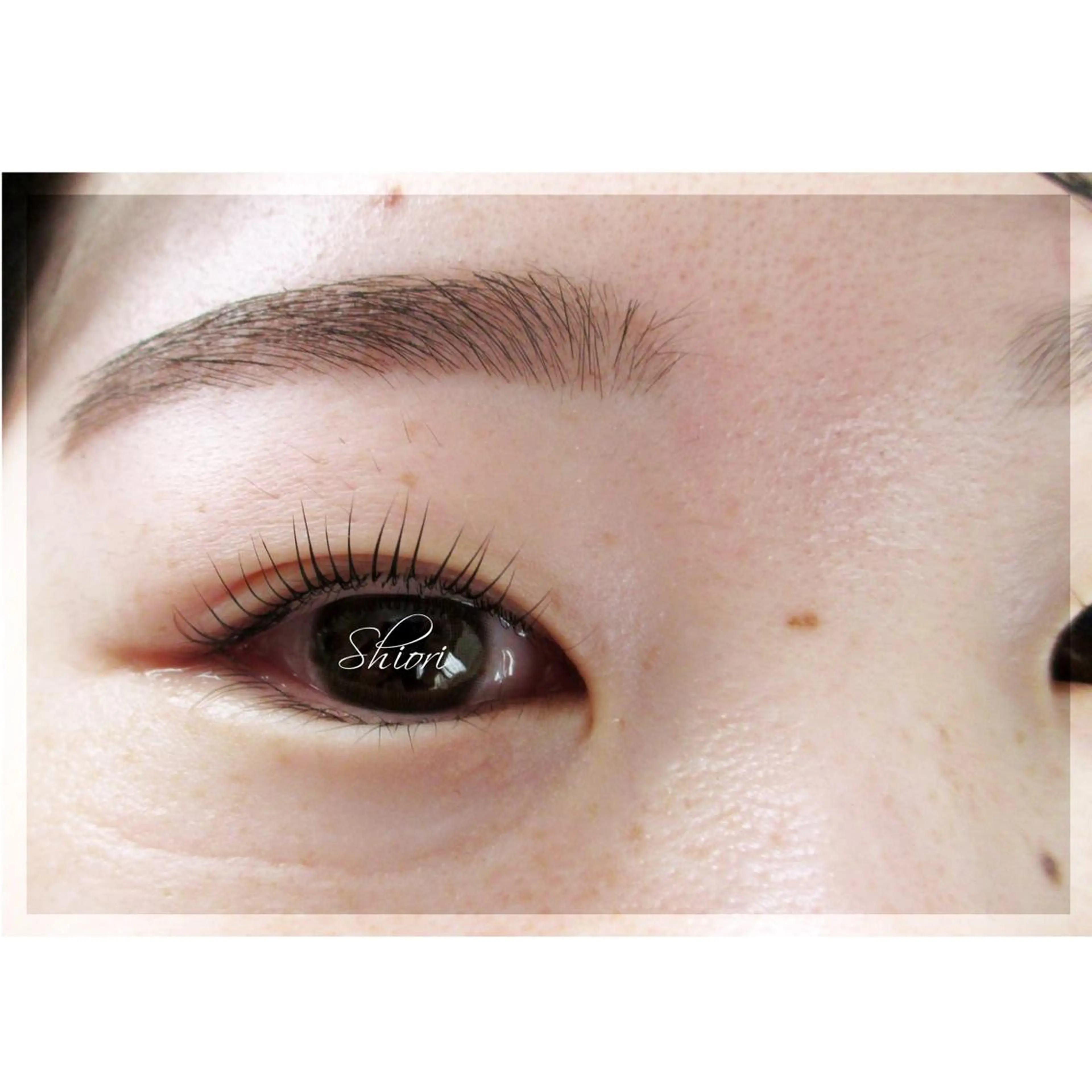 メンズ マツエク・マツパ マツパ 宮崎 詩織のマツエク・マツパデザイン