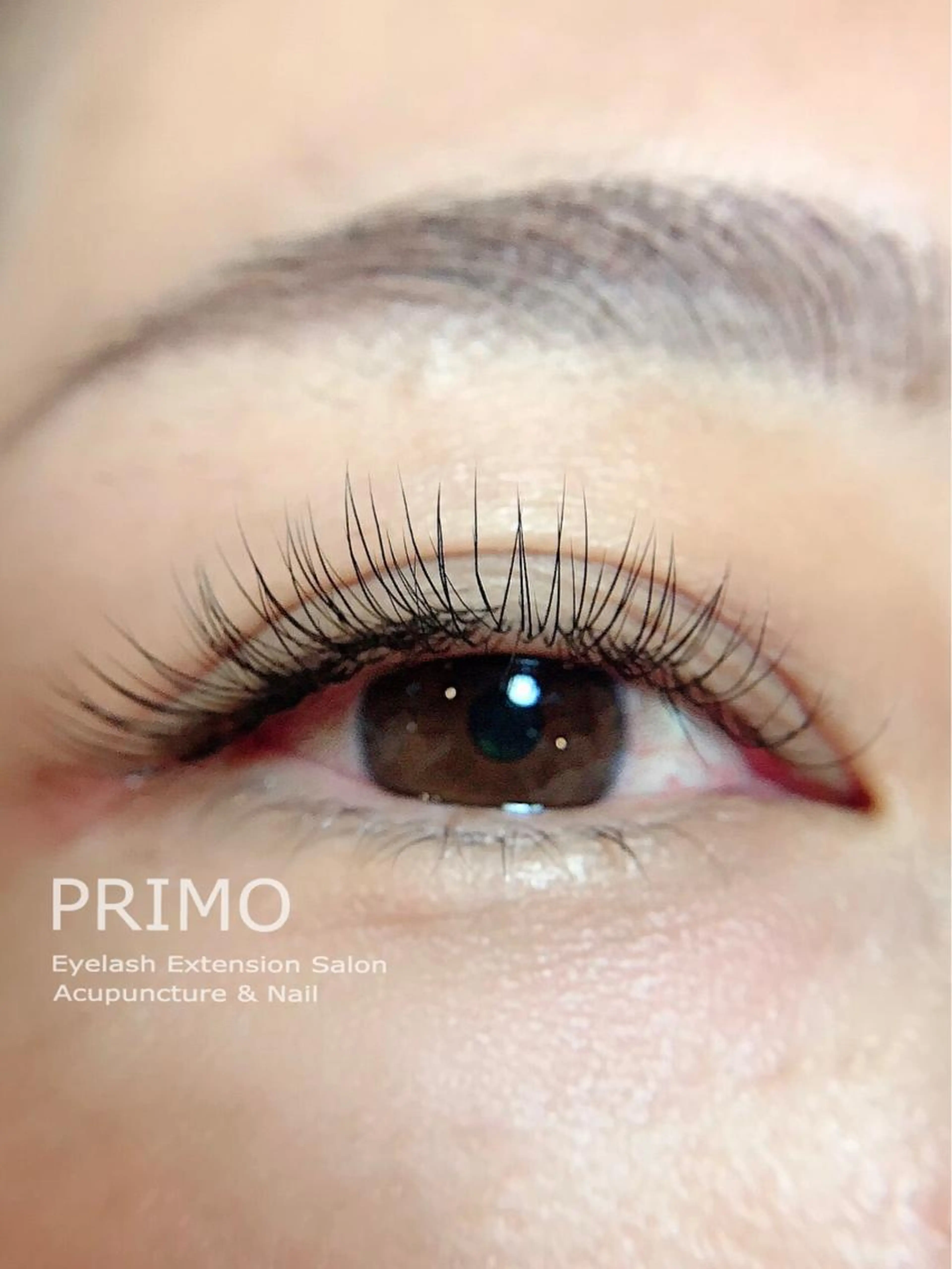 【ミニモ限定】LEDフラットラッシュ100本¥9,980(他店オフ込み)の写真