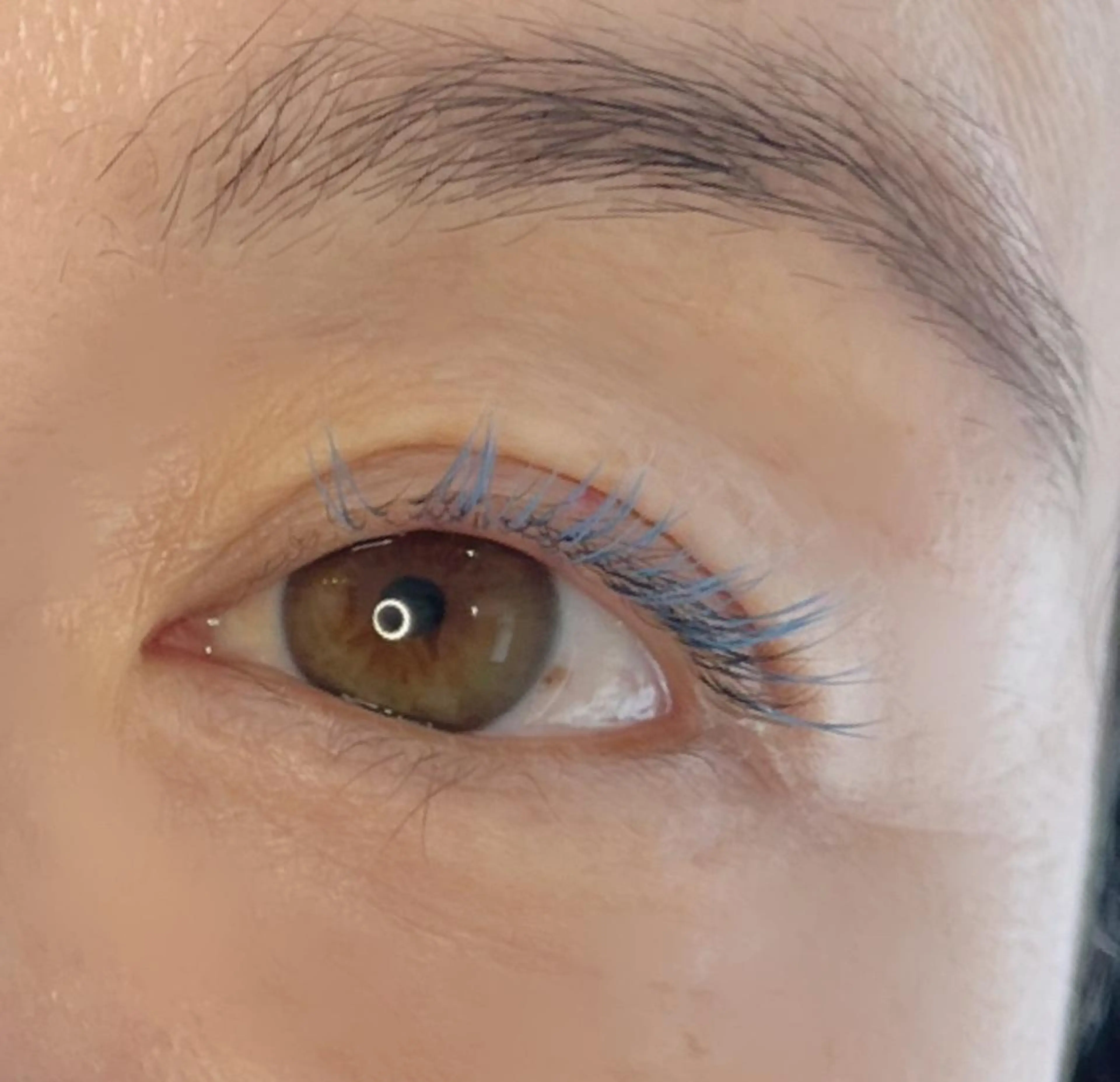 マツエク・マツパ 《eyelash ｉｉｔｅ》森のマツエク・マツパデザイン