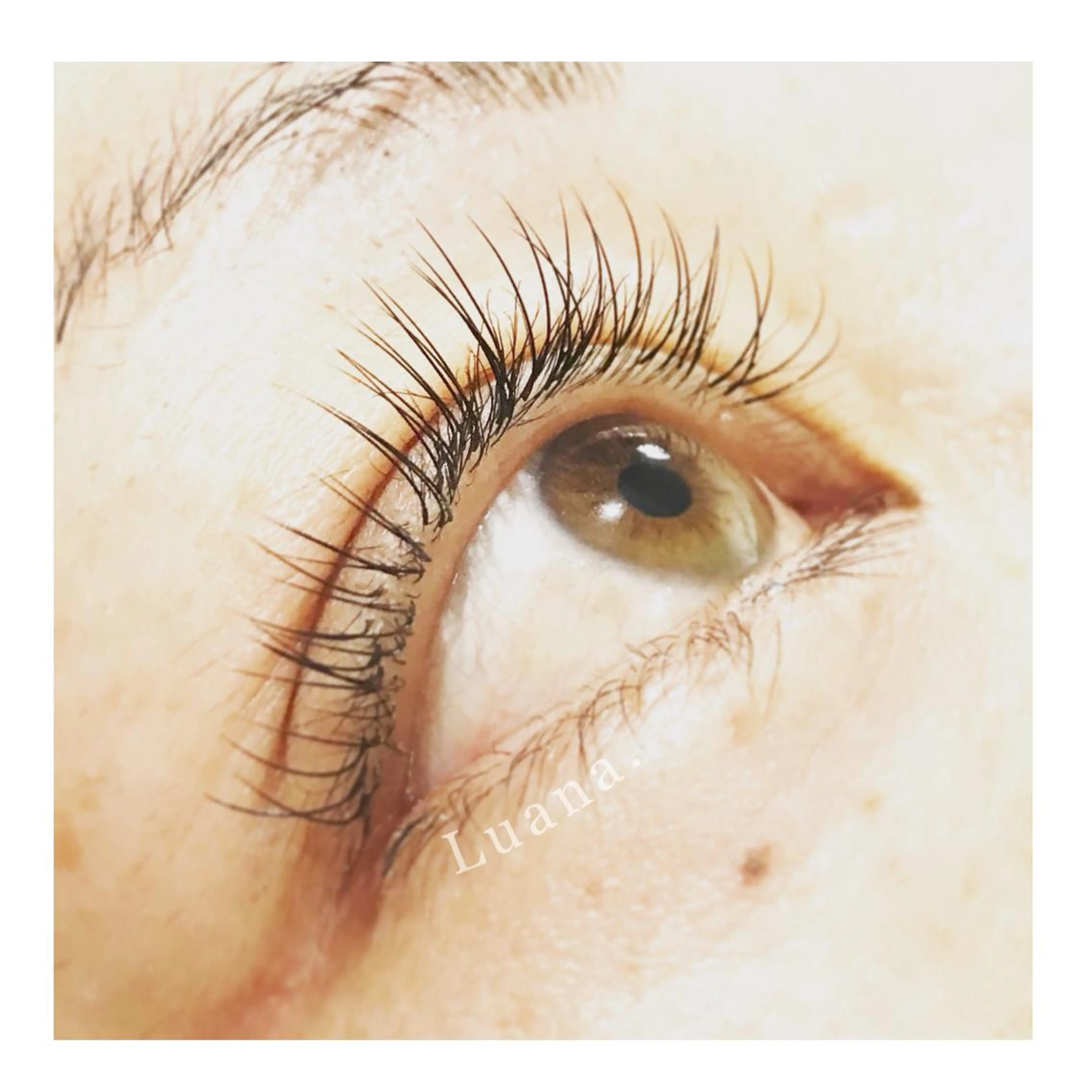 マツエク・マツパ Cカール セーブル にっくに ちひろの眉毛・アイブロウイメージ