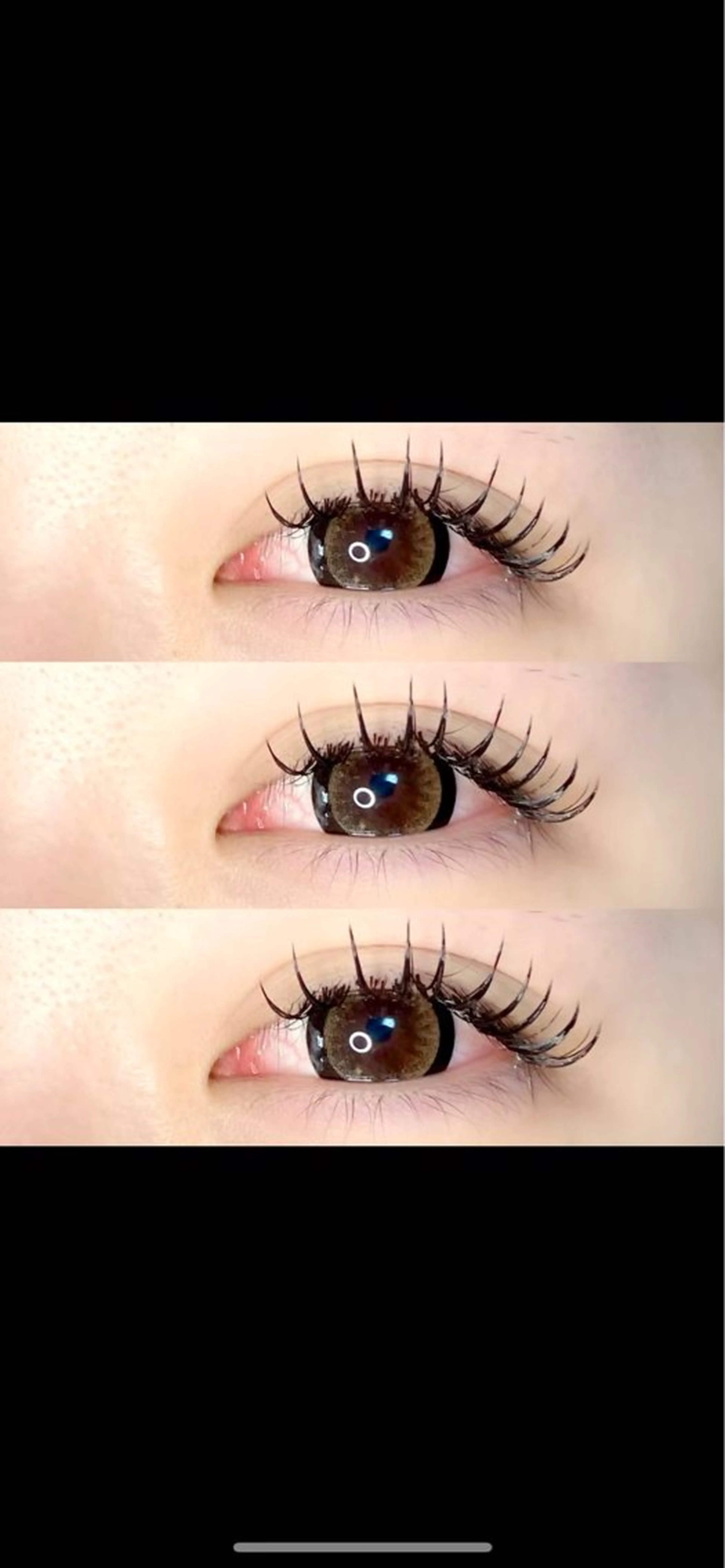 フラットラッシュ140本の写真