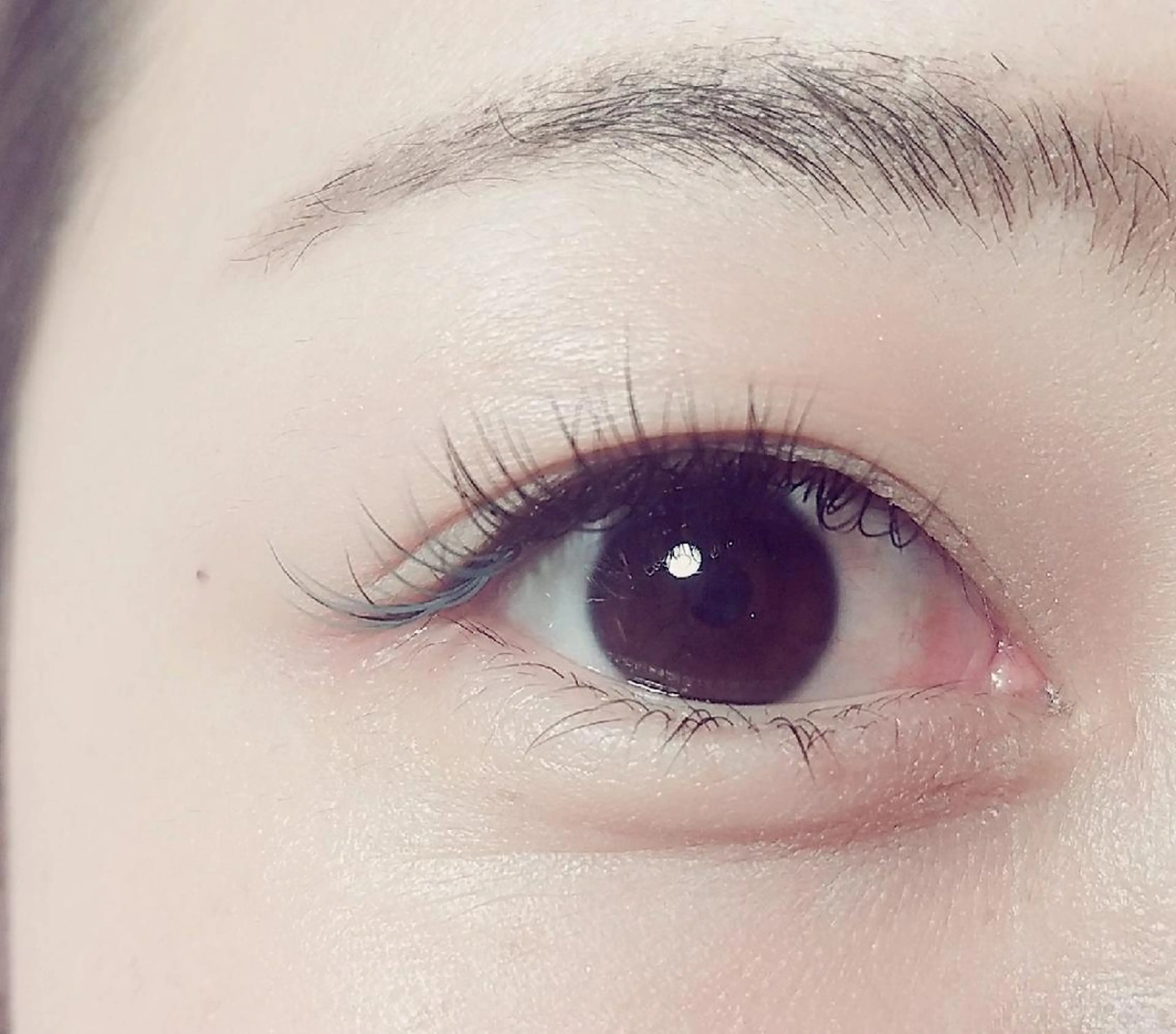 マツエク・マツパ セーブル hair& beauty BRYのマツエク・マツパデザイン