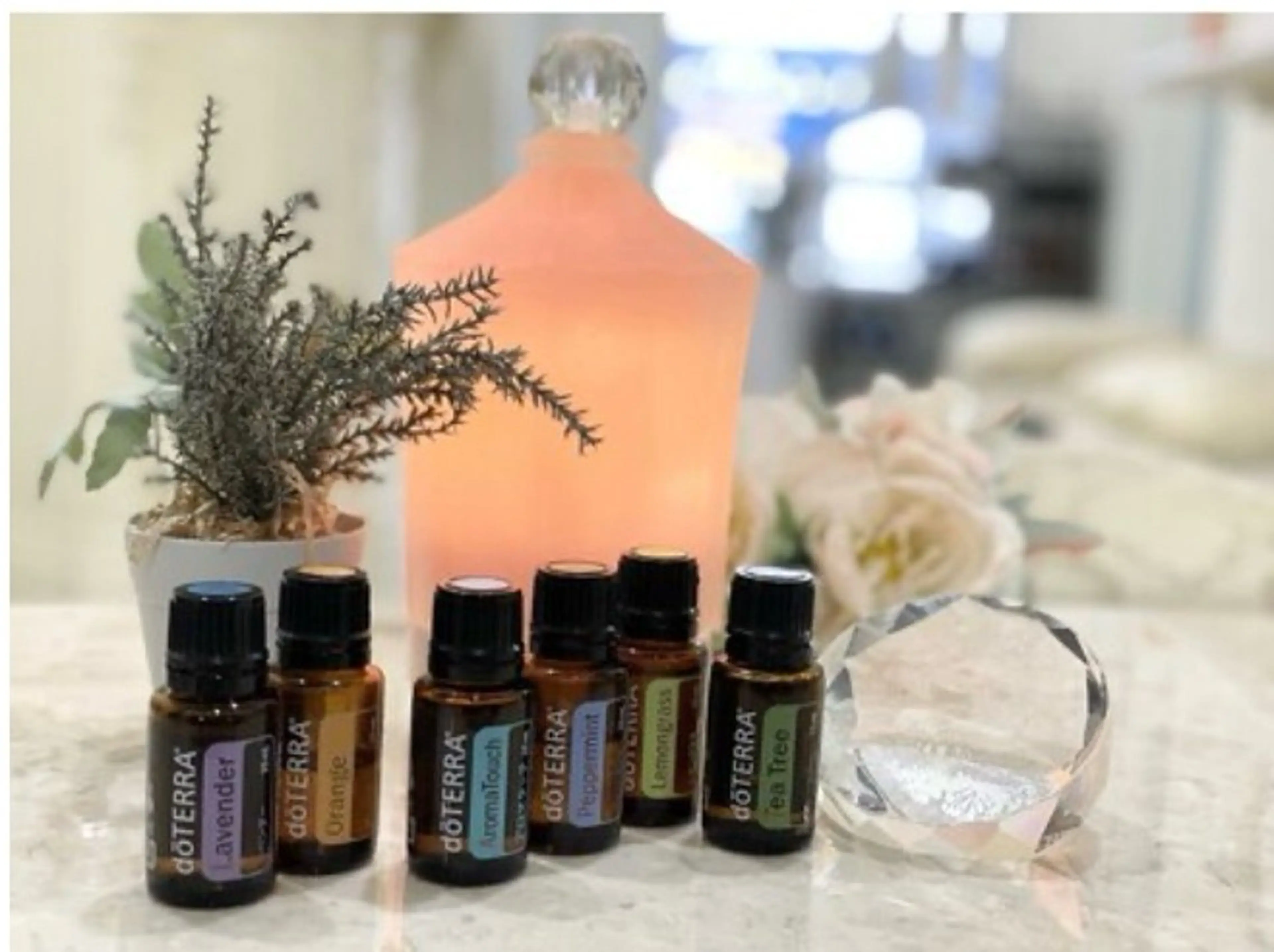 中山 隼京のエステ・リラクイメージ