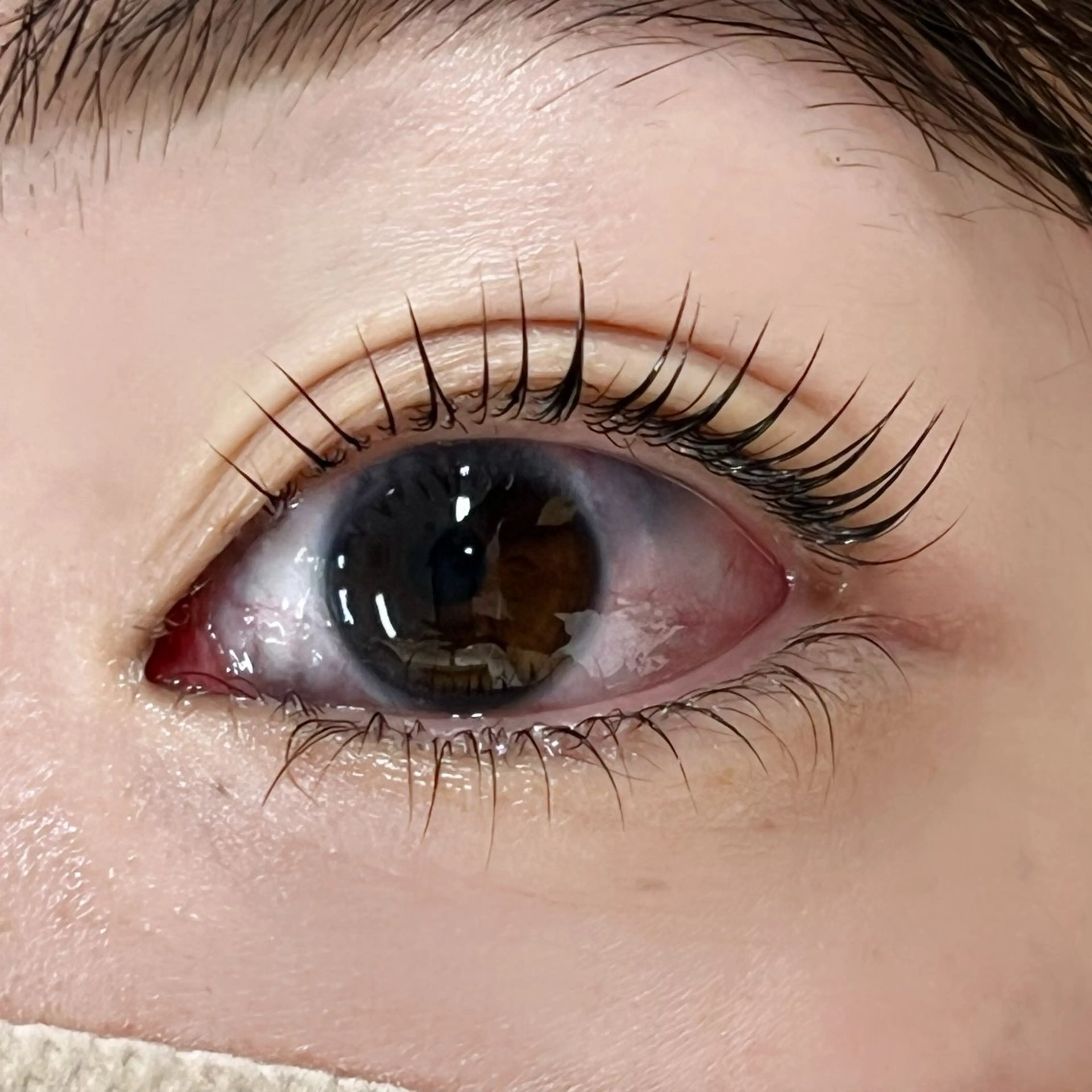 マツエク・マツパ パリジェンヌラッシュリフト R🌹 ⁺⊹˚.のマツエク・マツパデザイン