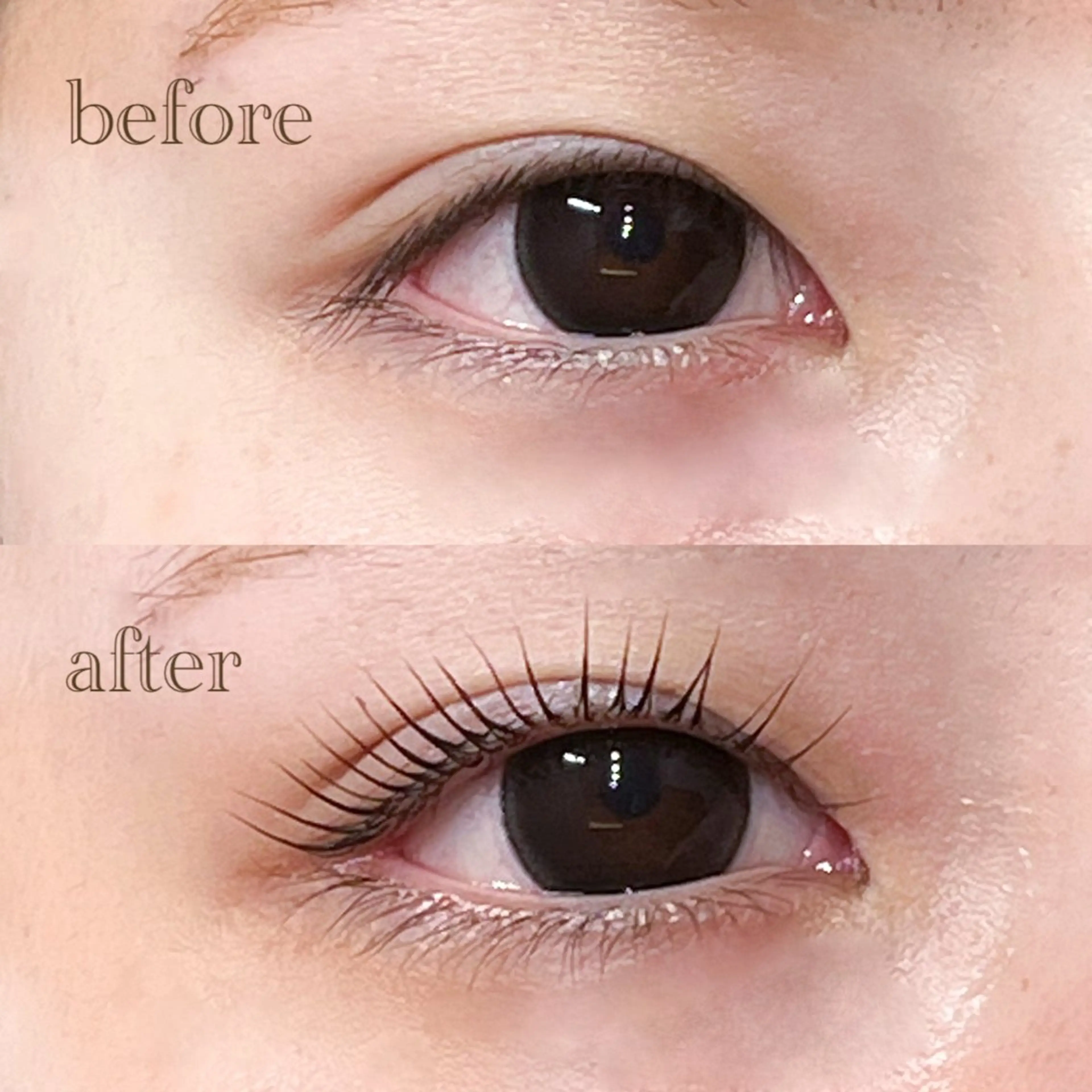 マツエク・マツパ 仙台/束感まつげ💐 🎀Mizukiの眉毛・アイブロウイメージ