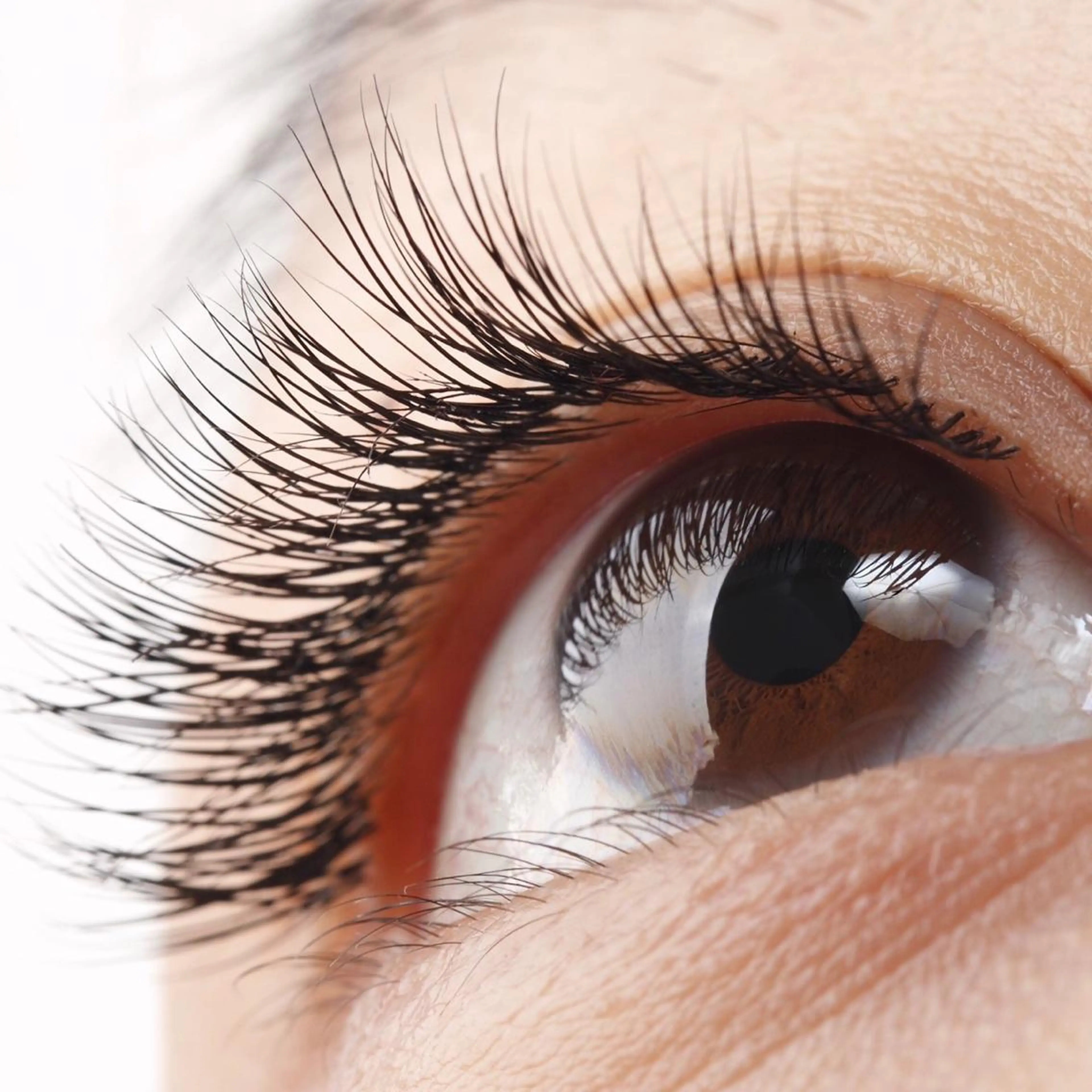 マツエク・マツパ プレシア赤坂 ERIのマツエク・マツパデザイン