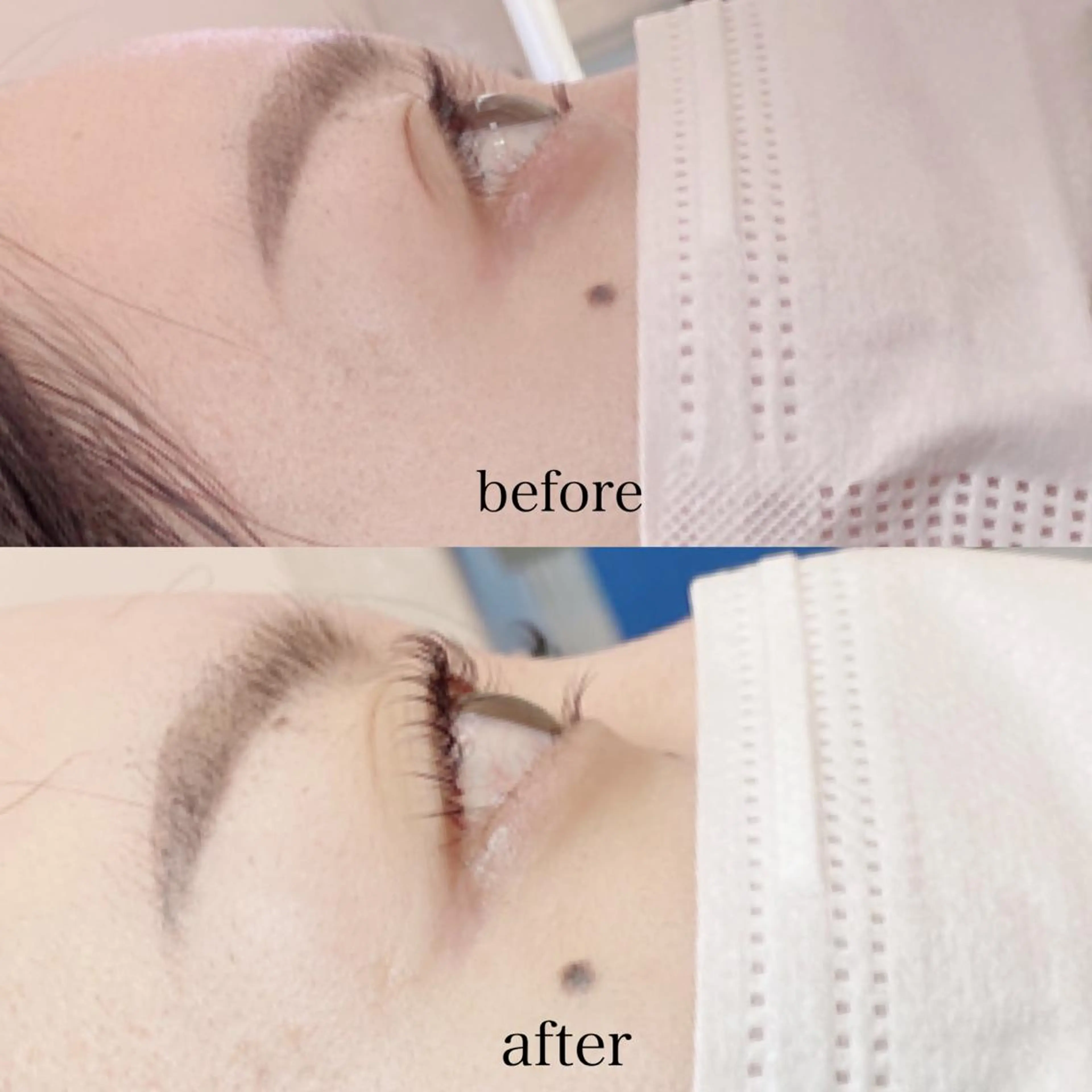 ãããšã¯ã»ããã ã«ã©ãŒãããšã¯ ãã©ããã©ãã·ã¥ éåœé¢šãããšã¯ ããªãžã§ã³ãã©ãã·ã¥ãªãã ãŸã€ãããŒã barro.1995æå±ã»ãªãŒããŒã¡ã€ããŸã€ã ïŒãŸãã.RIKAã®ãããšã¯ã»ããããã¶ã€ã³