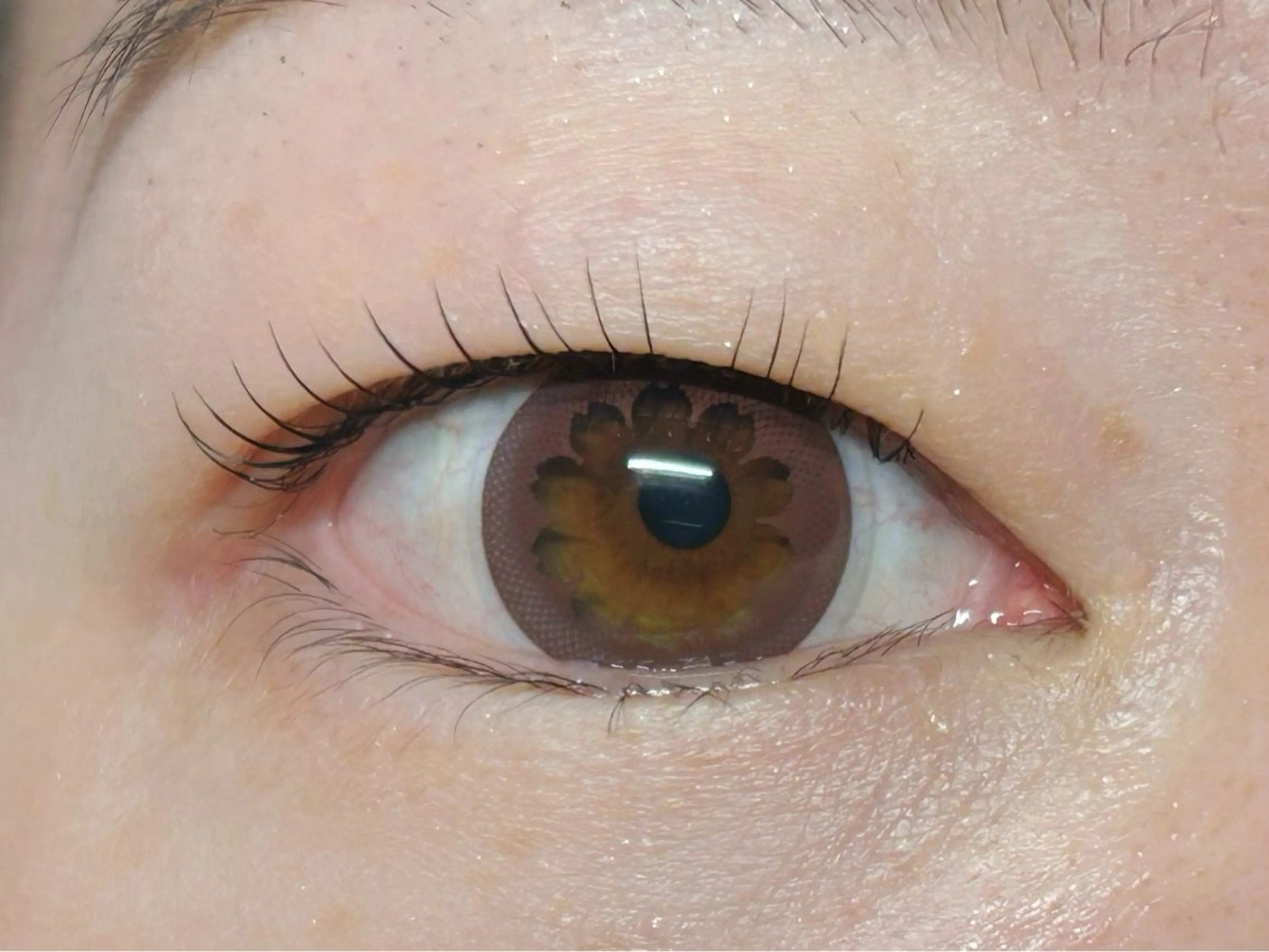 マツエク・マツパ Melia Chieのマツエク・マツパデザイン