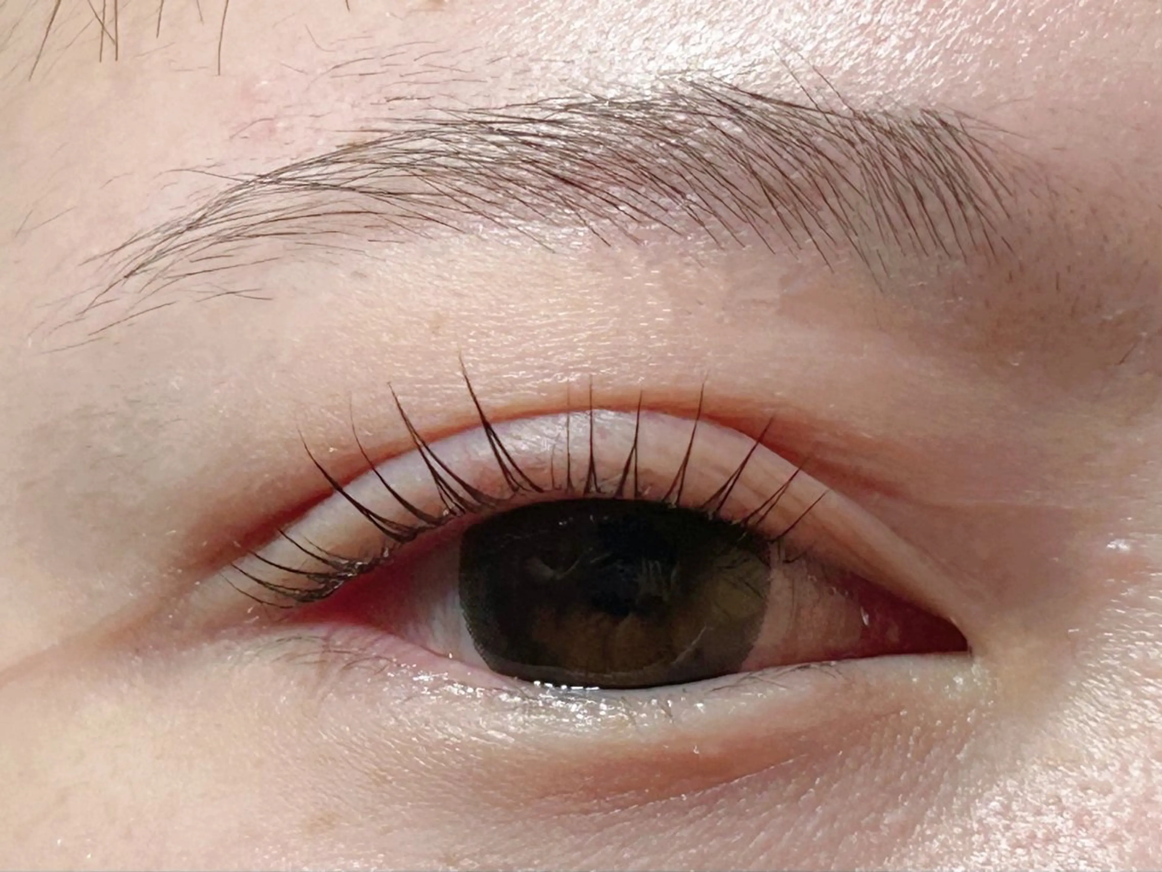 マツエク・マツパ パリジェンヌラッシュリフト 【Lino】 nonokaのマツエク・マツパデザイン