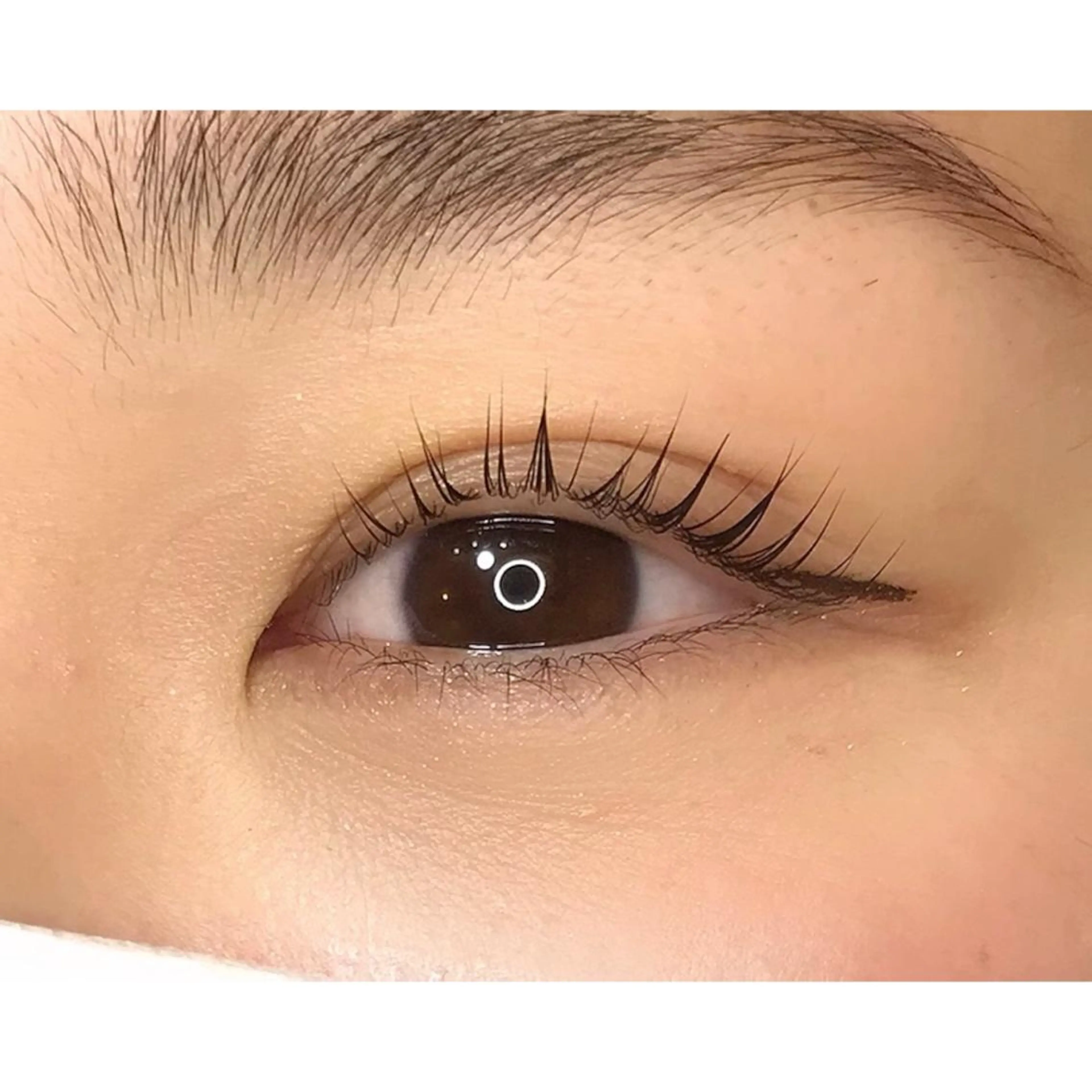 マツエク・マツパ étora 恵比寿店のマツエク・マツパデザイン