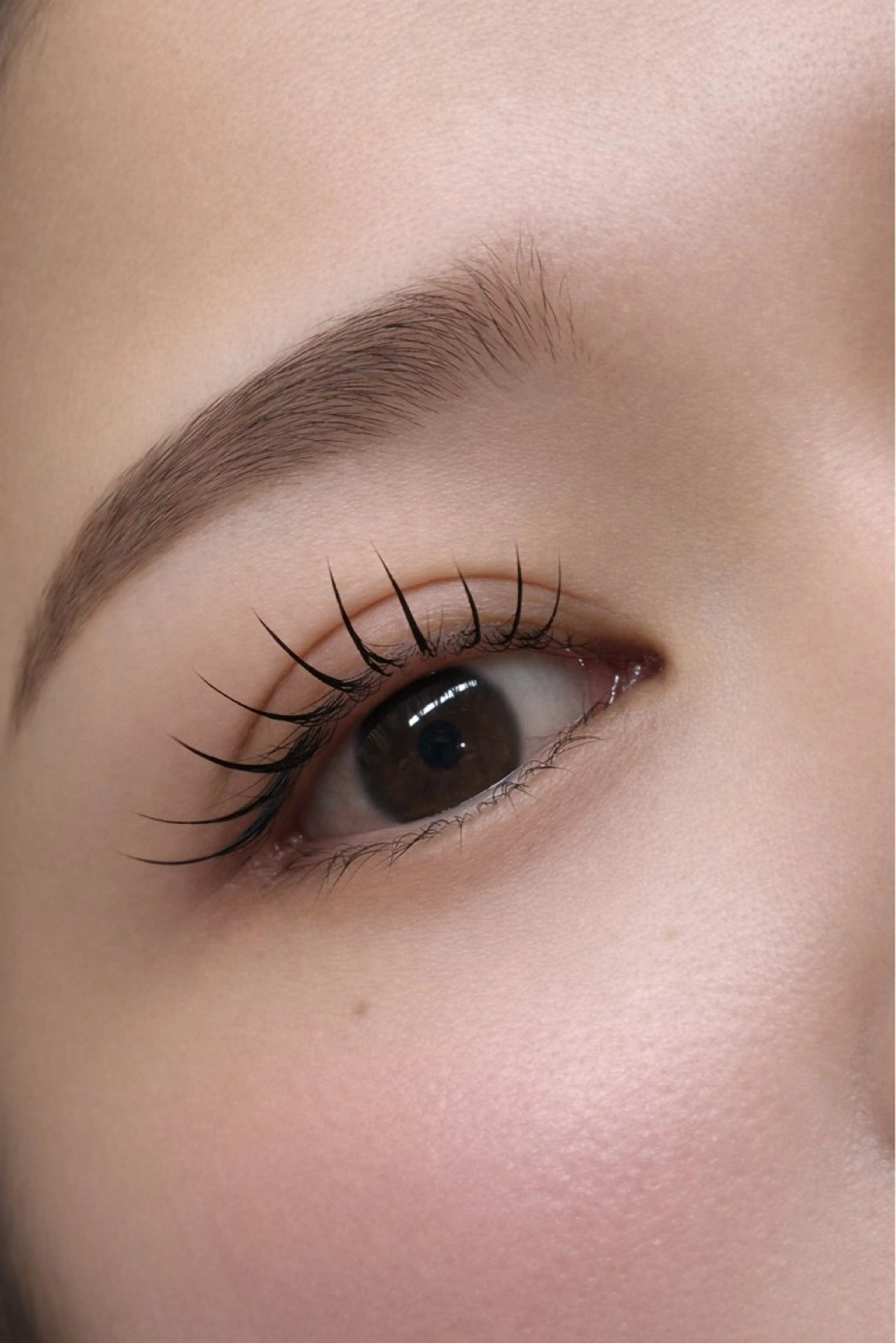 【平日16時以降限定】フラットラッシュ60本｜練習モデル様募集の写真