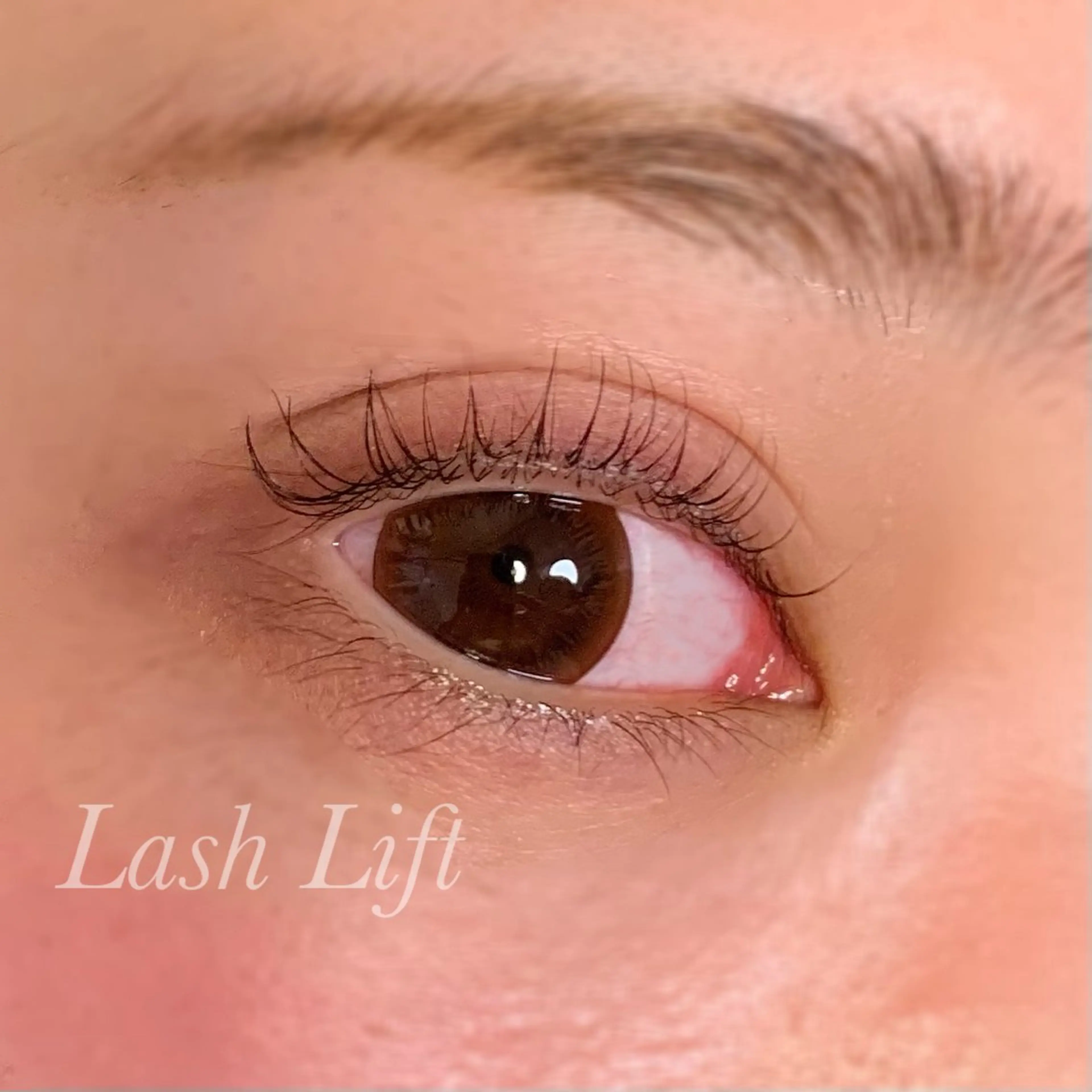 マツエク・マツパ まつげパーマ マツパ Ayumi.pro 🍆N《4階》のマツエク・マツパデザイン