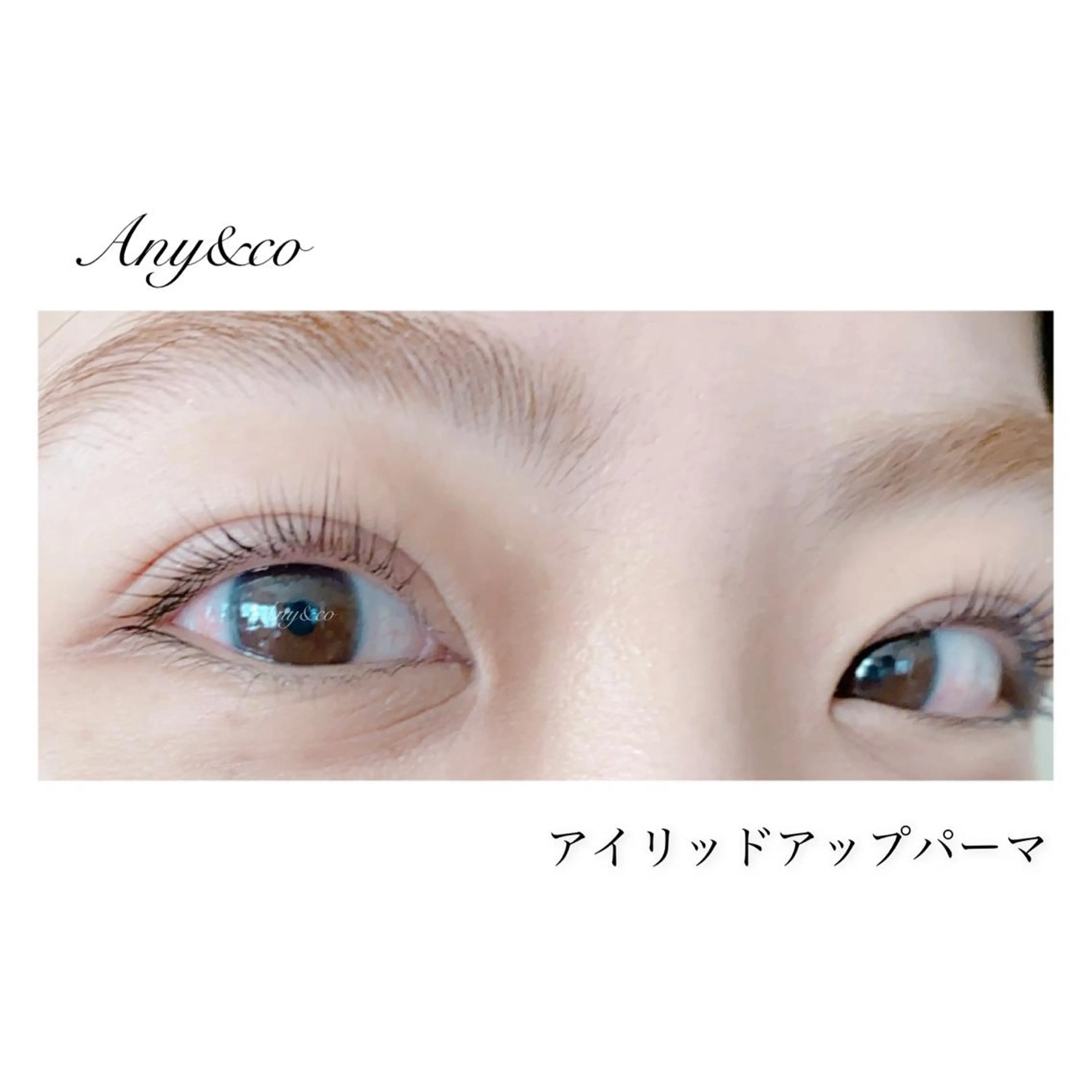 マツエク・マツパ アイリッドアップパーマ Any&co 【エニコ】のマツエク・マツパデザイン