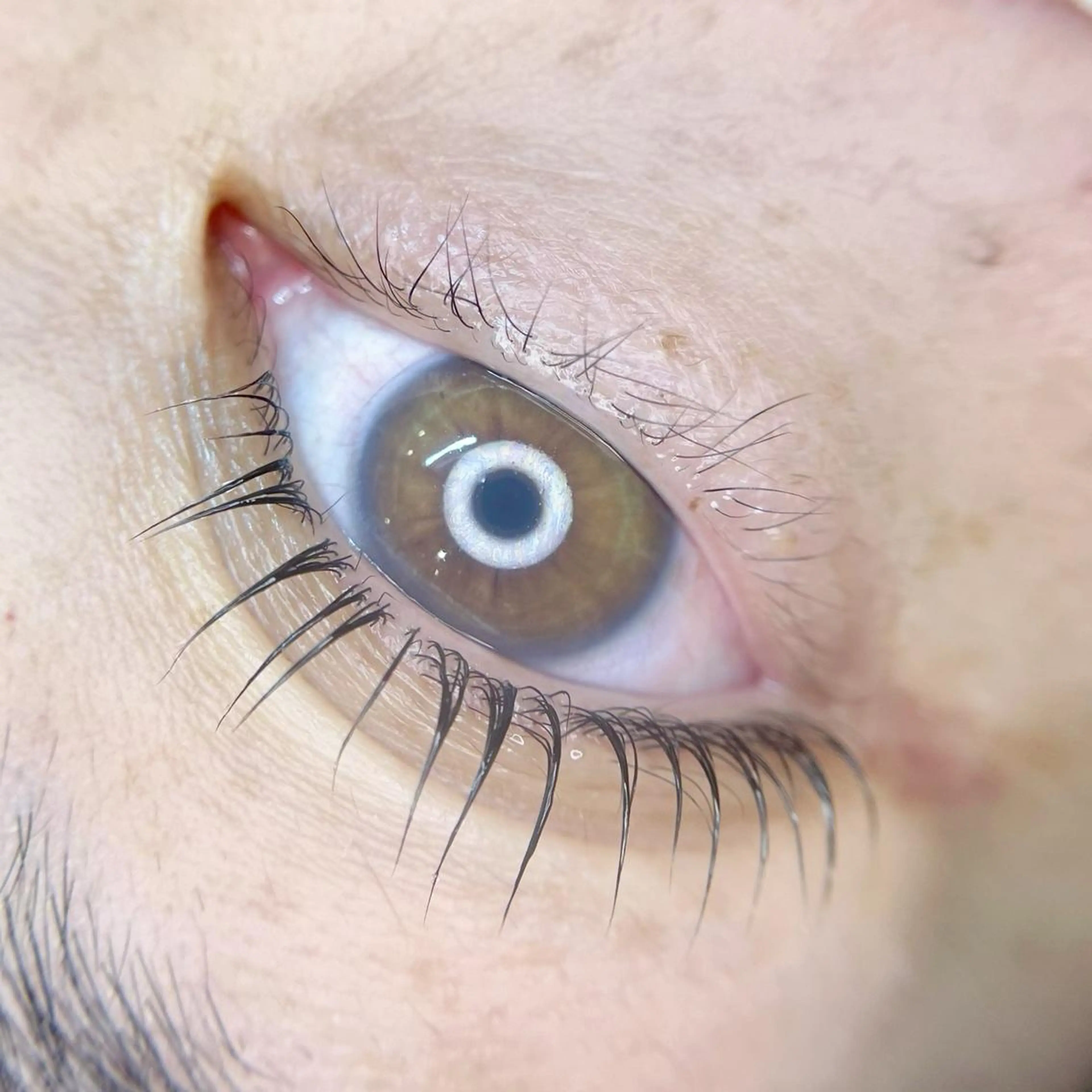 マツエク・マツパ マツパ モリシタ アヤノのマツエク・マツパデザイン