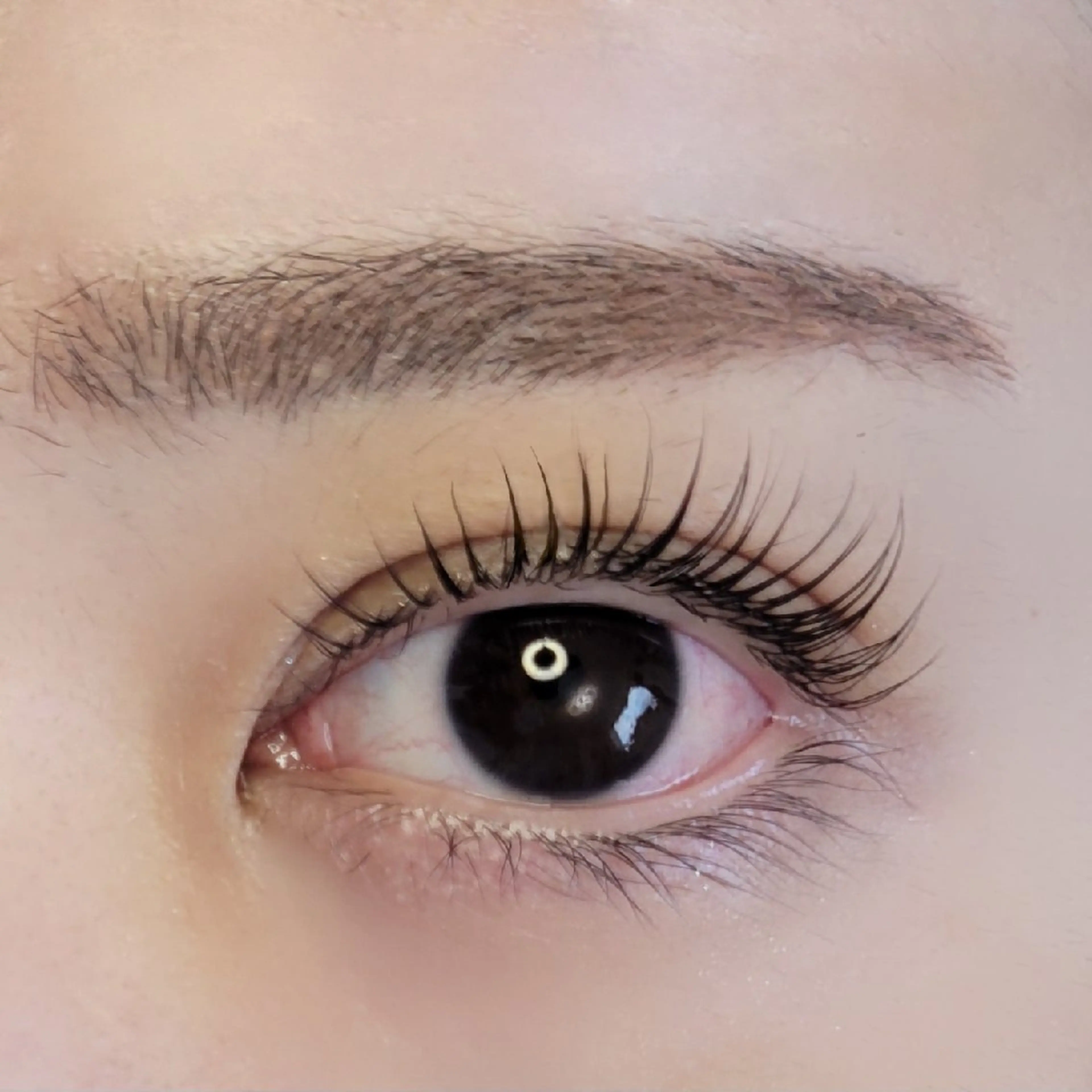 マツエク・マツパ ヘアメイクサロン Red Lipps のマツエク・マツパデザイン