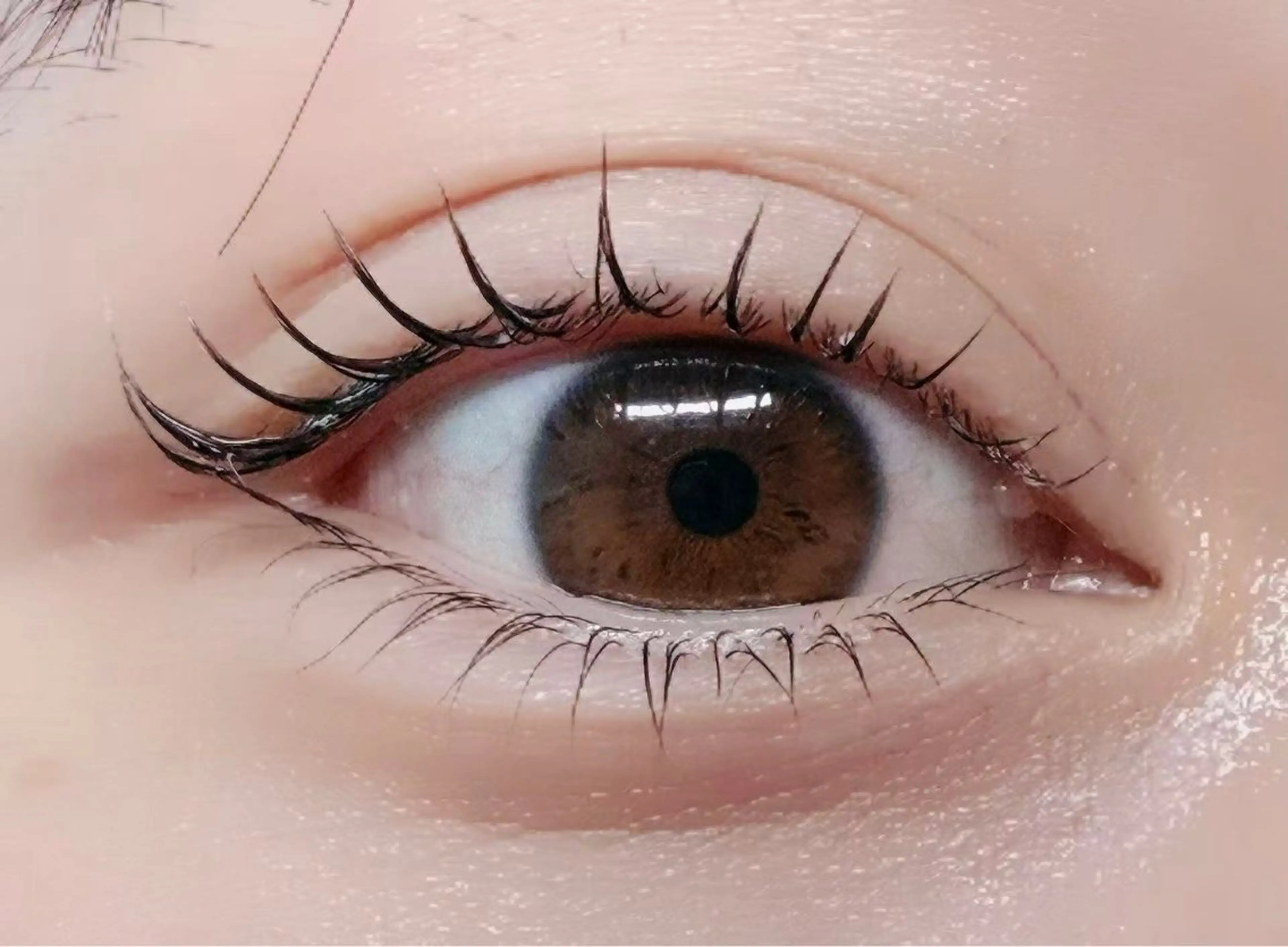 マツエク・マツパ hime 🦋in高田馬場のマツエク・マツパデザイン