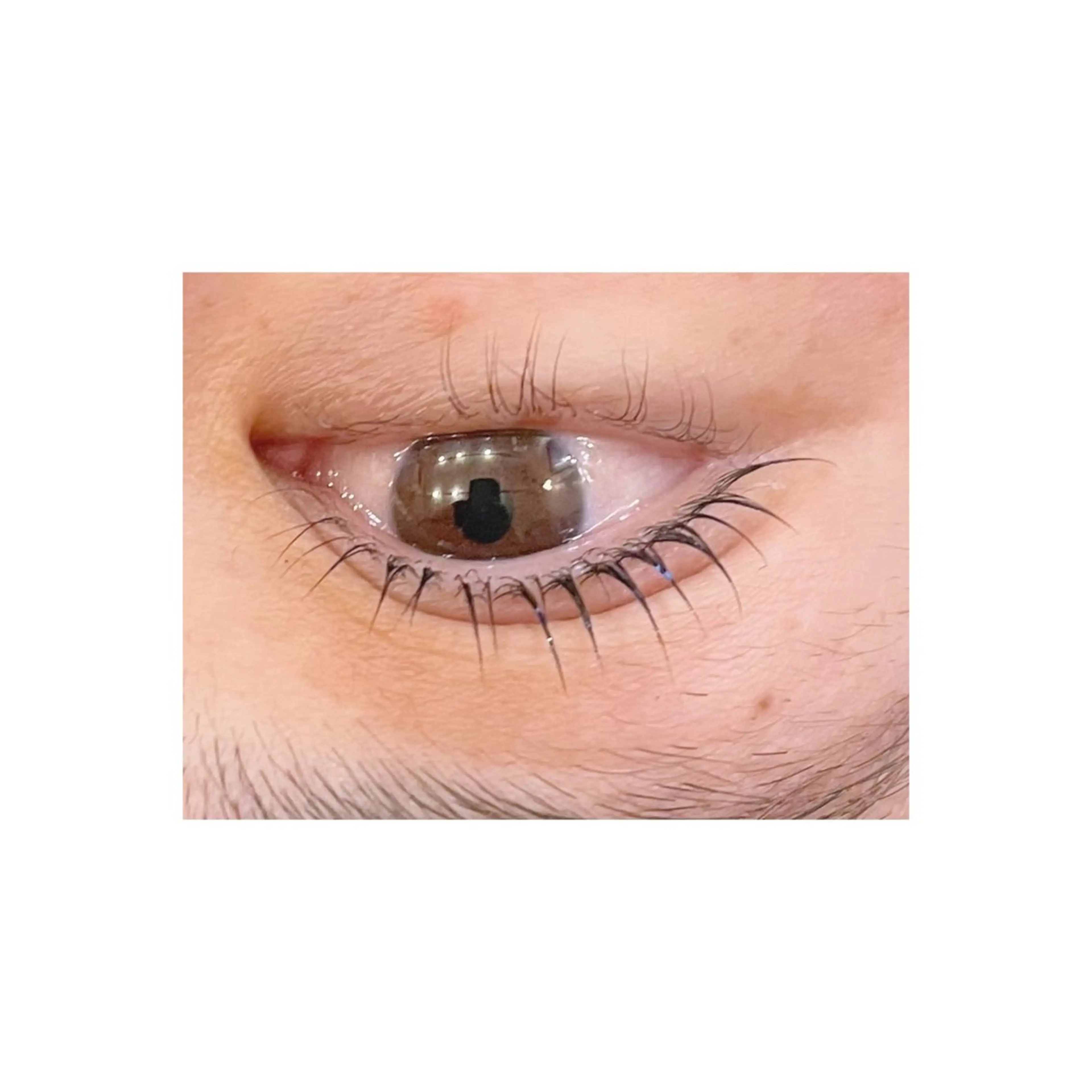 マツエク・マツパ マツパ THREE所属・THREE🌿🪞 ririのその他イメージ