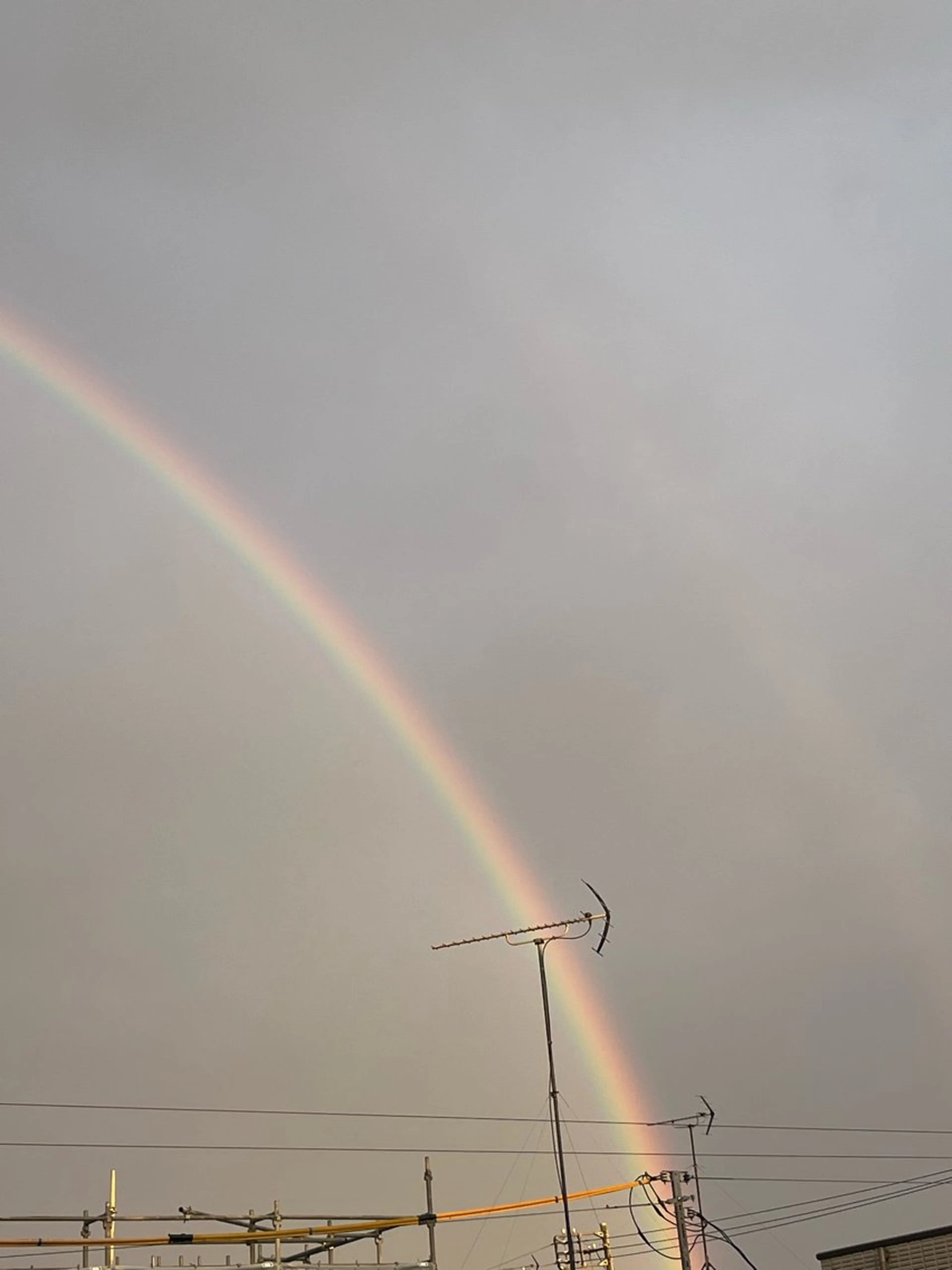 小鴨 美佳のヘアスタイル