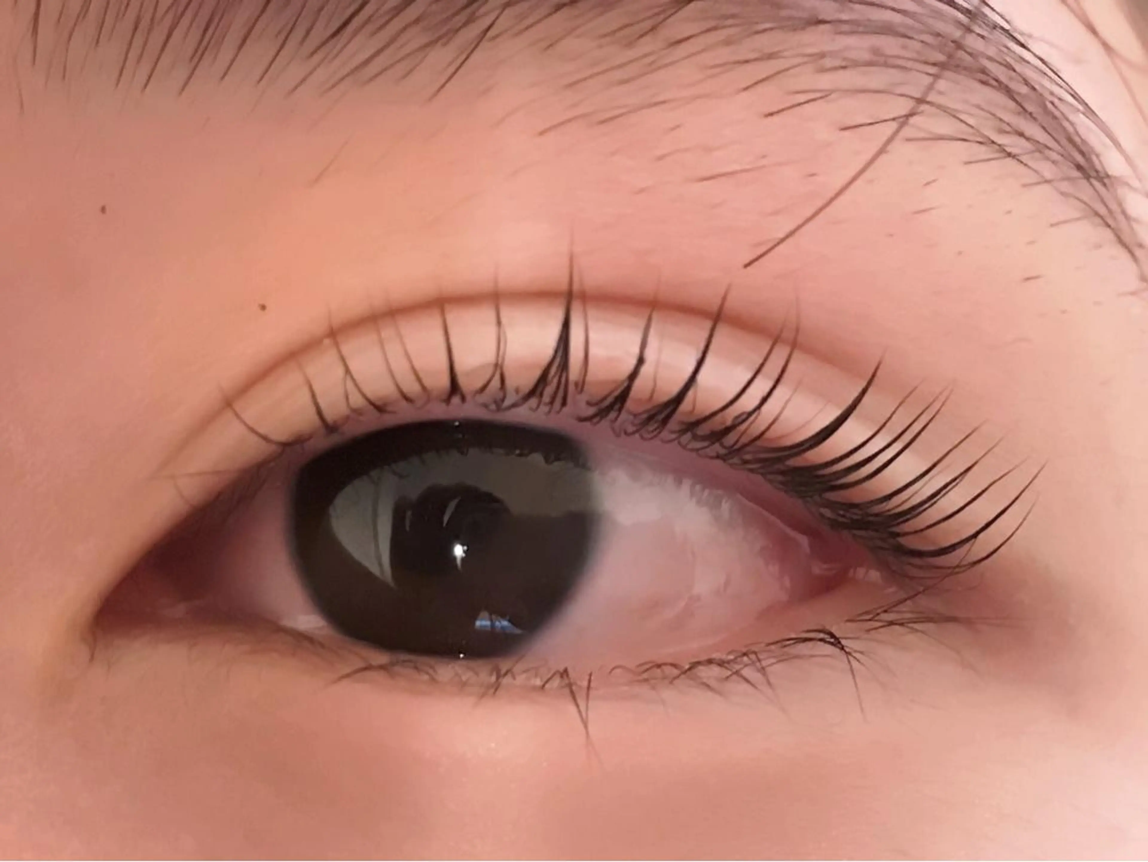 マツエク・マツパ SHO KOのマツエク・マツパデザイン