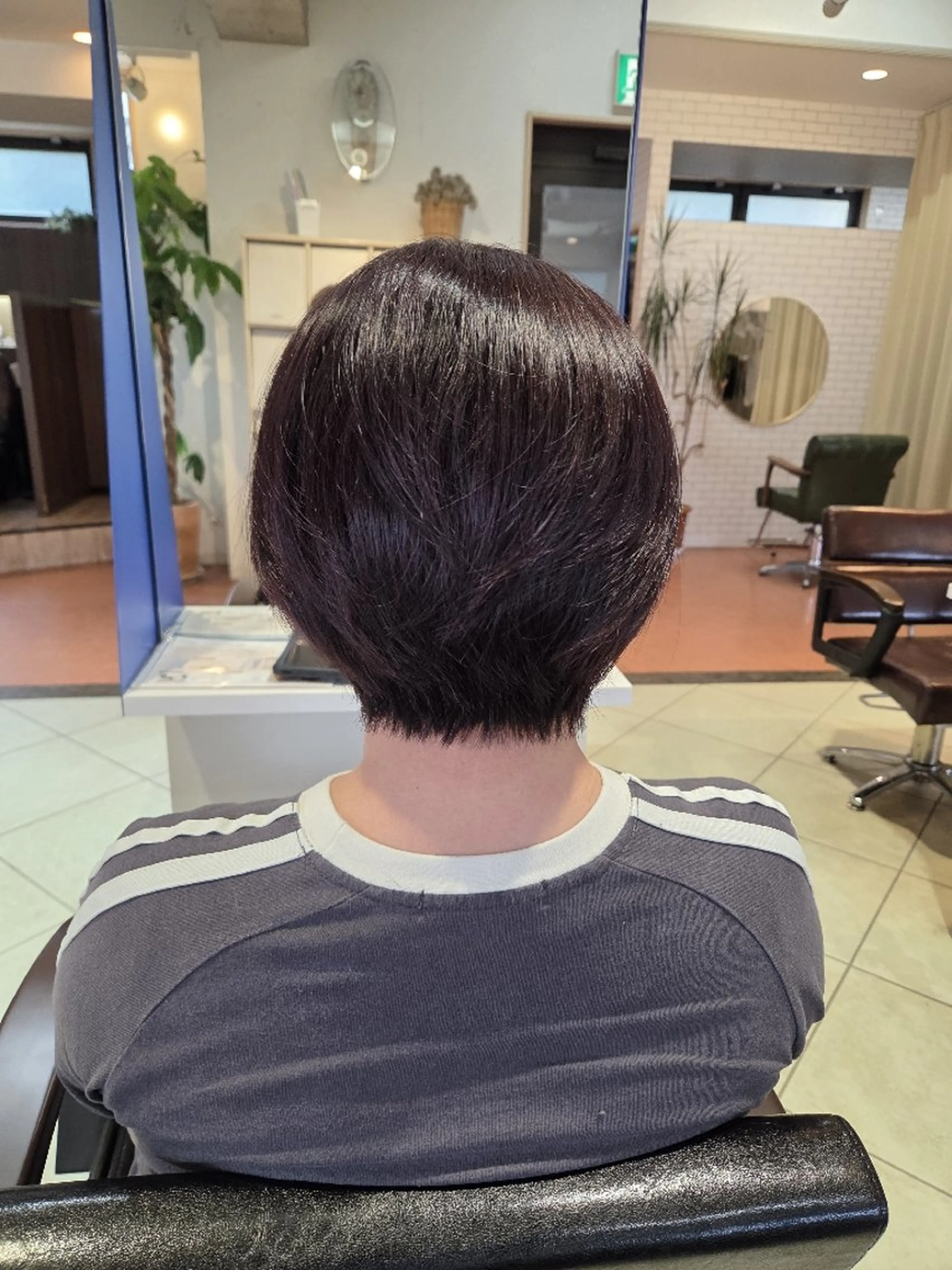 ショート カット 武鹿野 光江のヘアスタイル