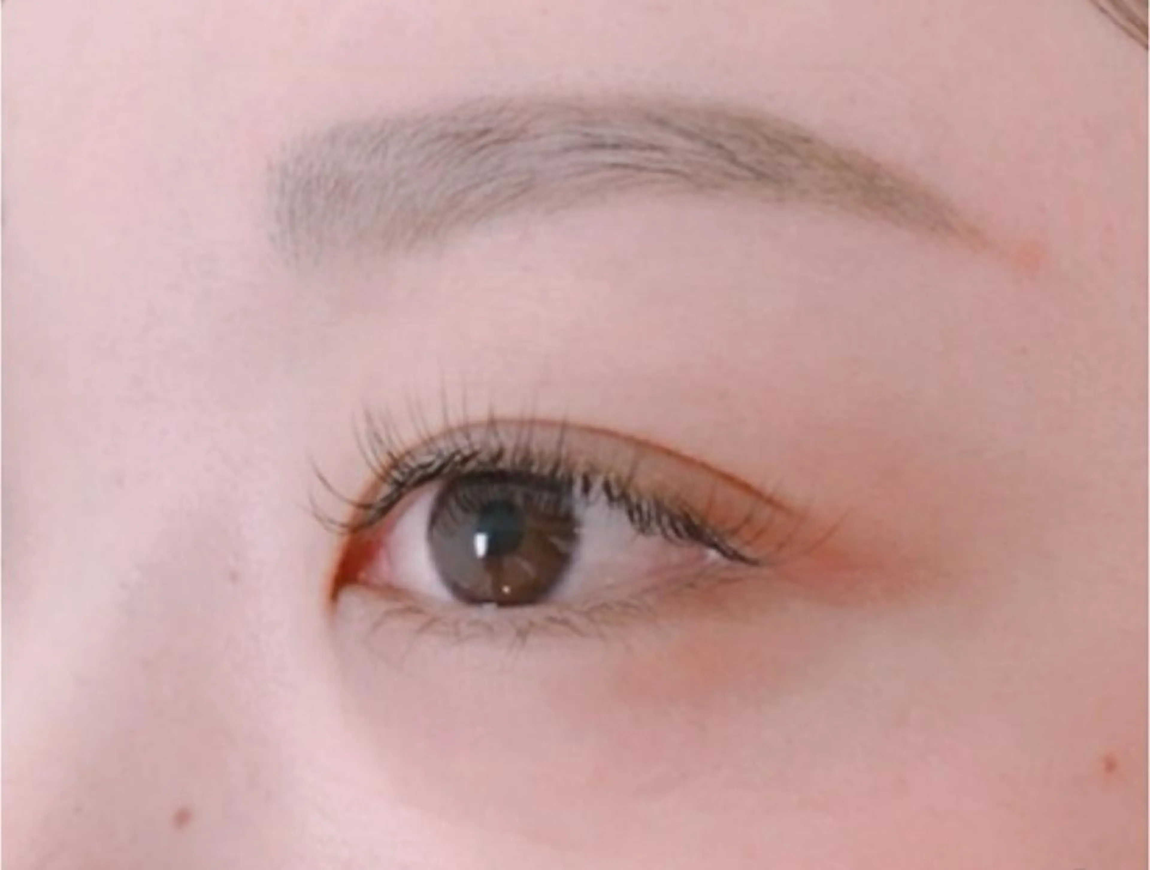 🕊フラットラッシュセーブルエクステ【100本】コーティング仕上げ込み◎の写真