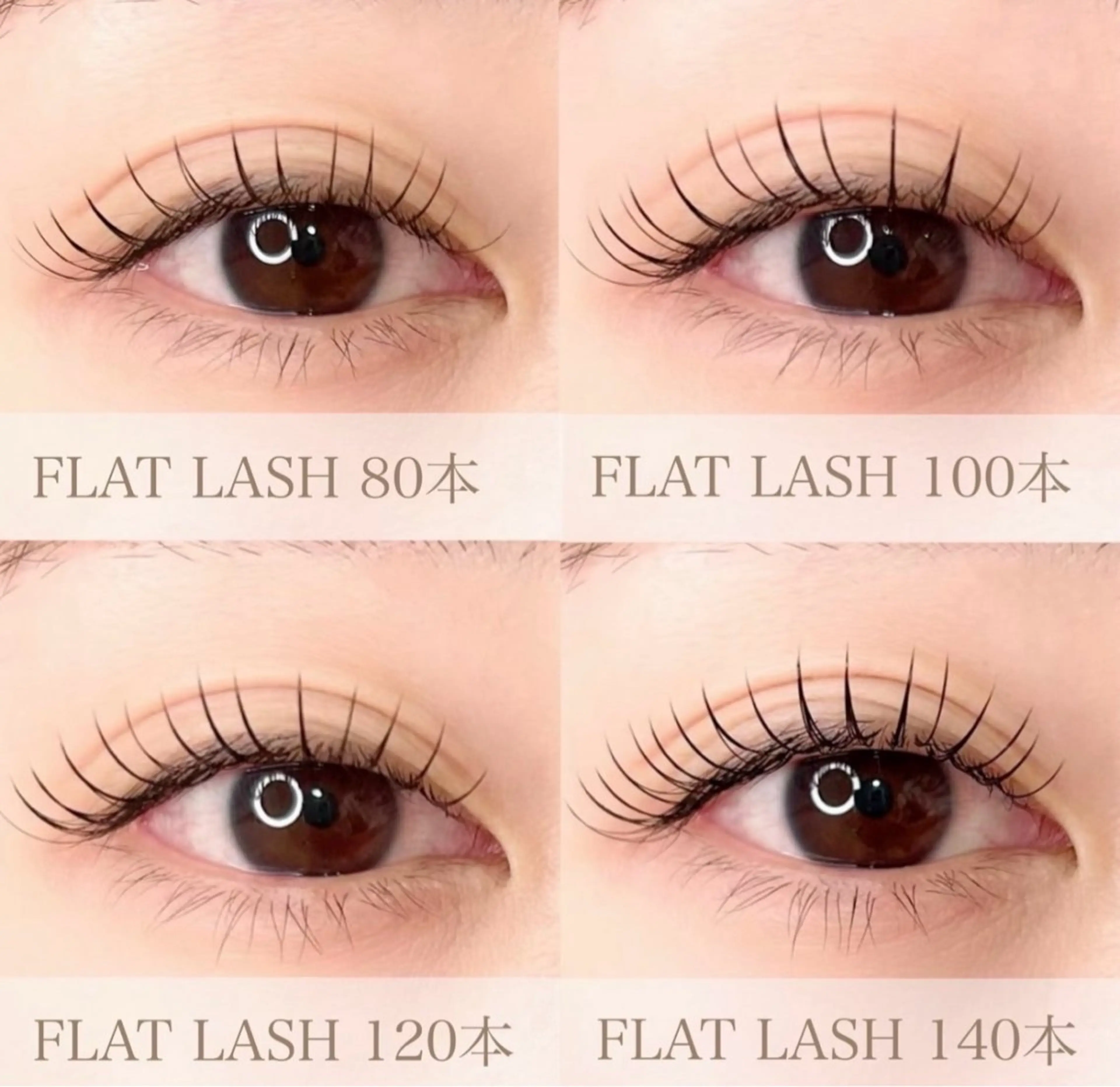 LEDエクステ/フラットラッシュ/140本/¥7500→¥7000の写真