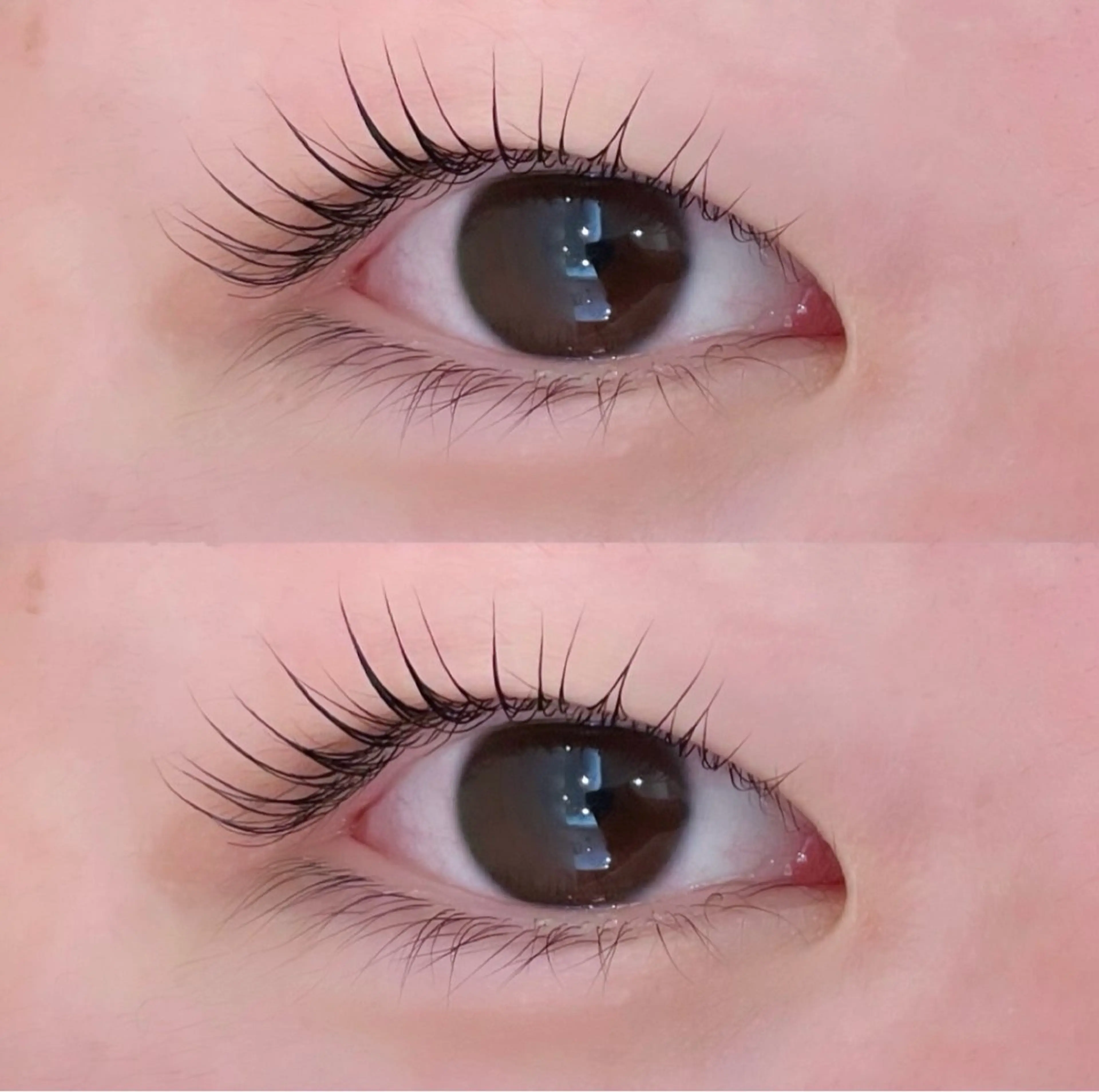 2回目以降の方💞パリジェンヌラッシュリフト💞の写真