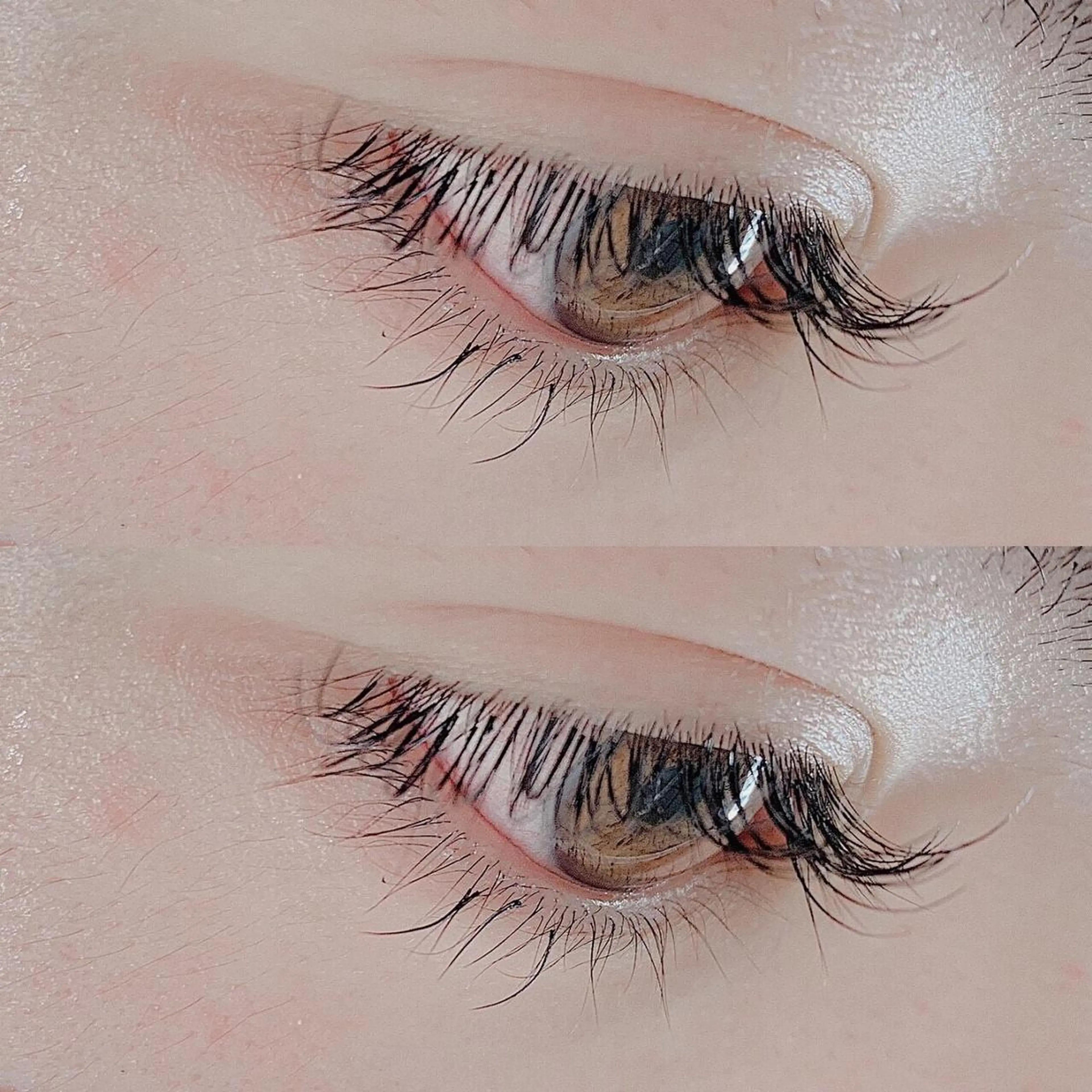 マツエク・マツパ マツエク CHIHO💚羽エク /マツエクのヘアスタイル