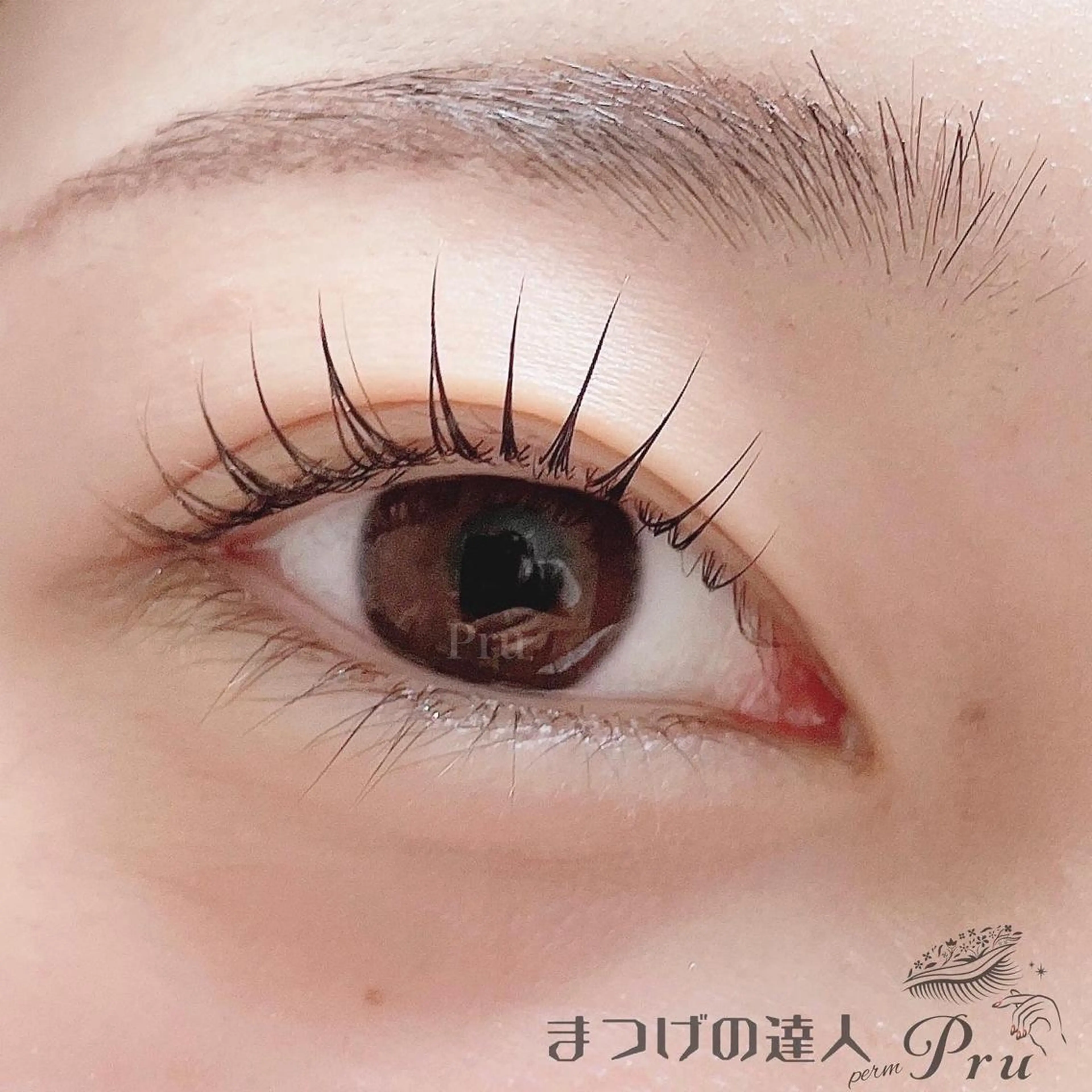 マツエク・マツパ マツパ プル eyelashのマツエク・マツパデザイン