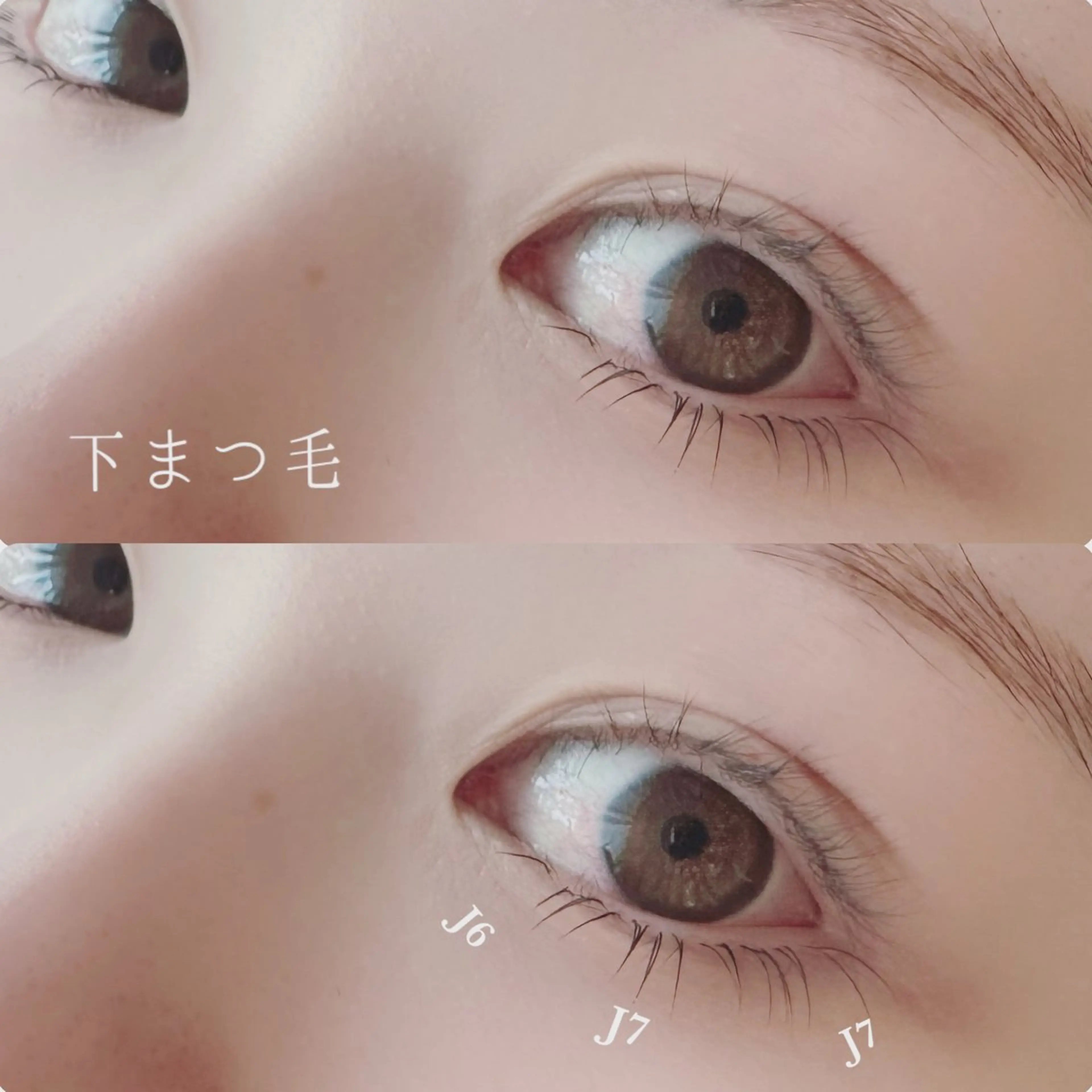 フラットマット下まつげの写真