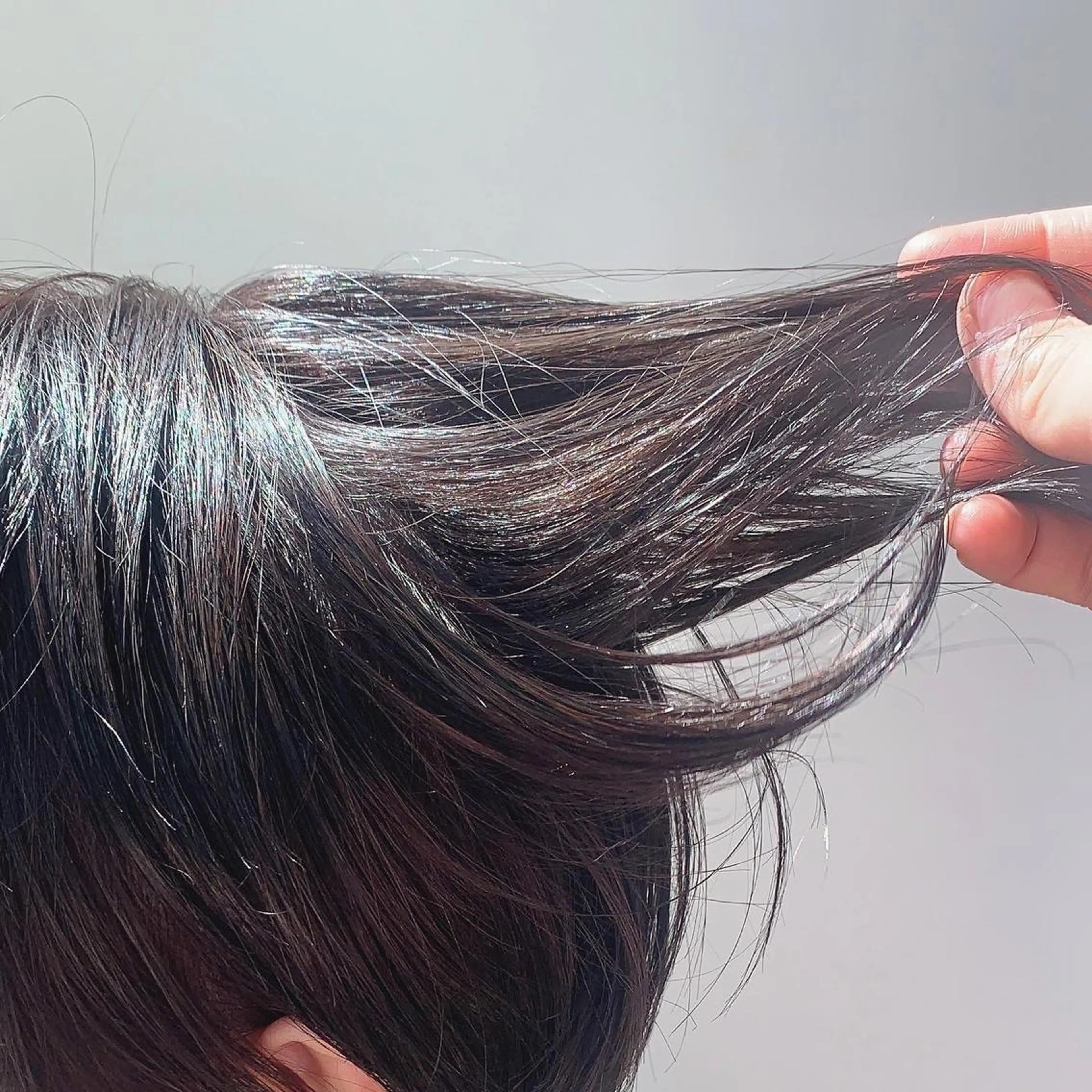 ショート カラー 透明感カラー グレージュ 🌱小顔ヘア/ボブ ミディアム/双葉🌱のヘアスタイル