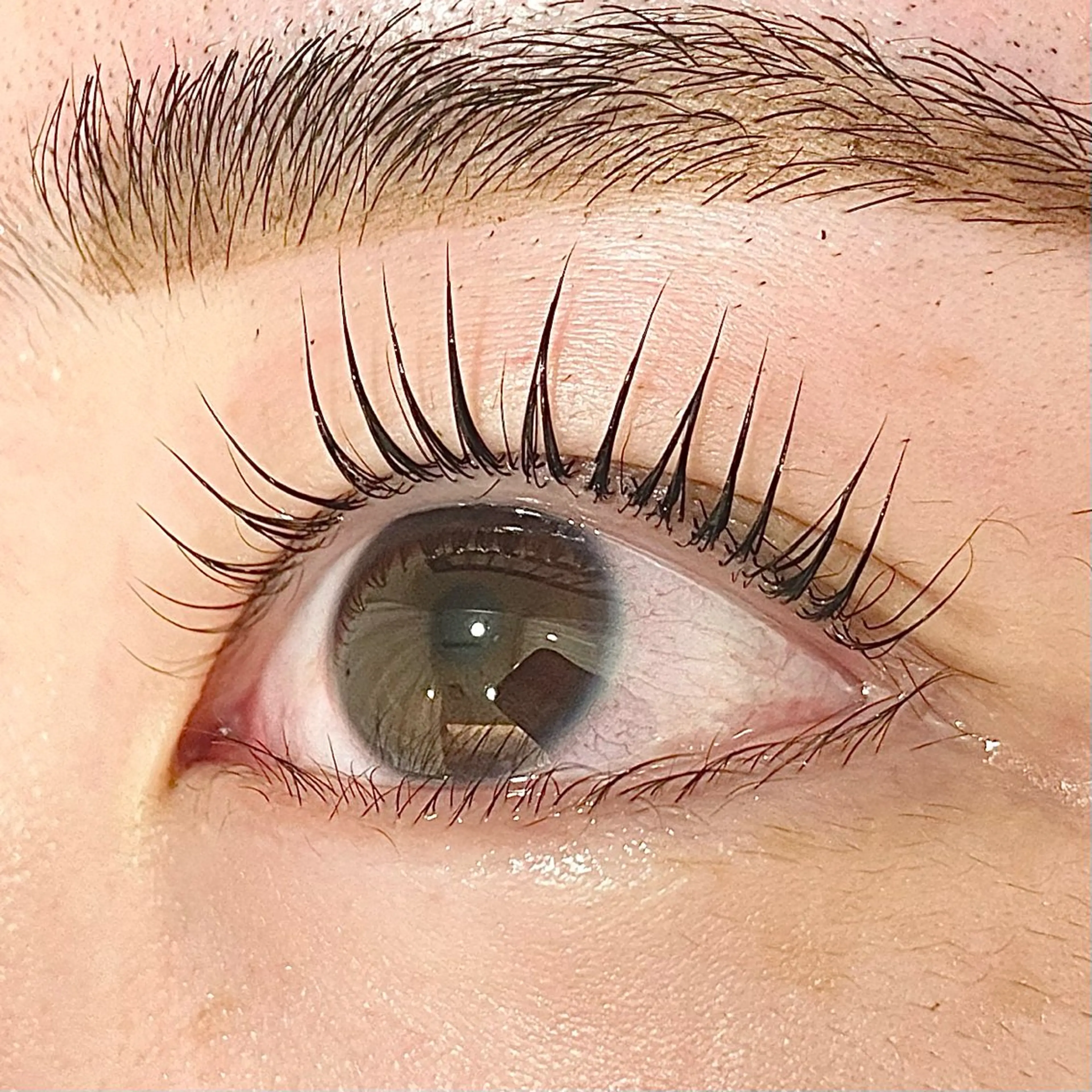 マツエク・マツパ パリジェンヌラッシュリフト 一重×まつ毛パーマ ✧elpatio✧︎ 小出紗羅のマツエク・マツパデザイン