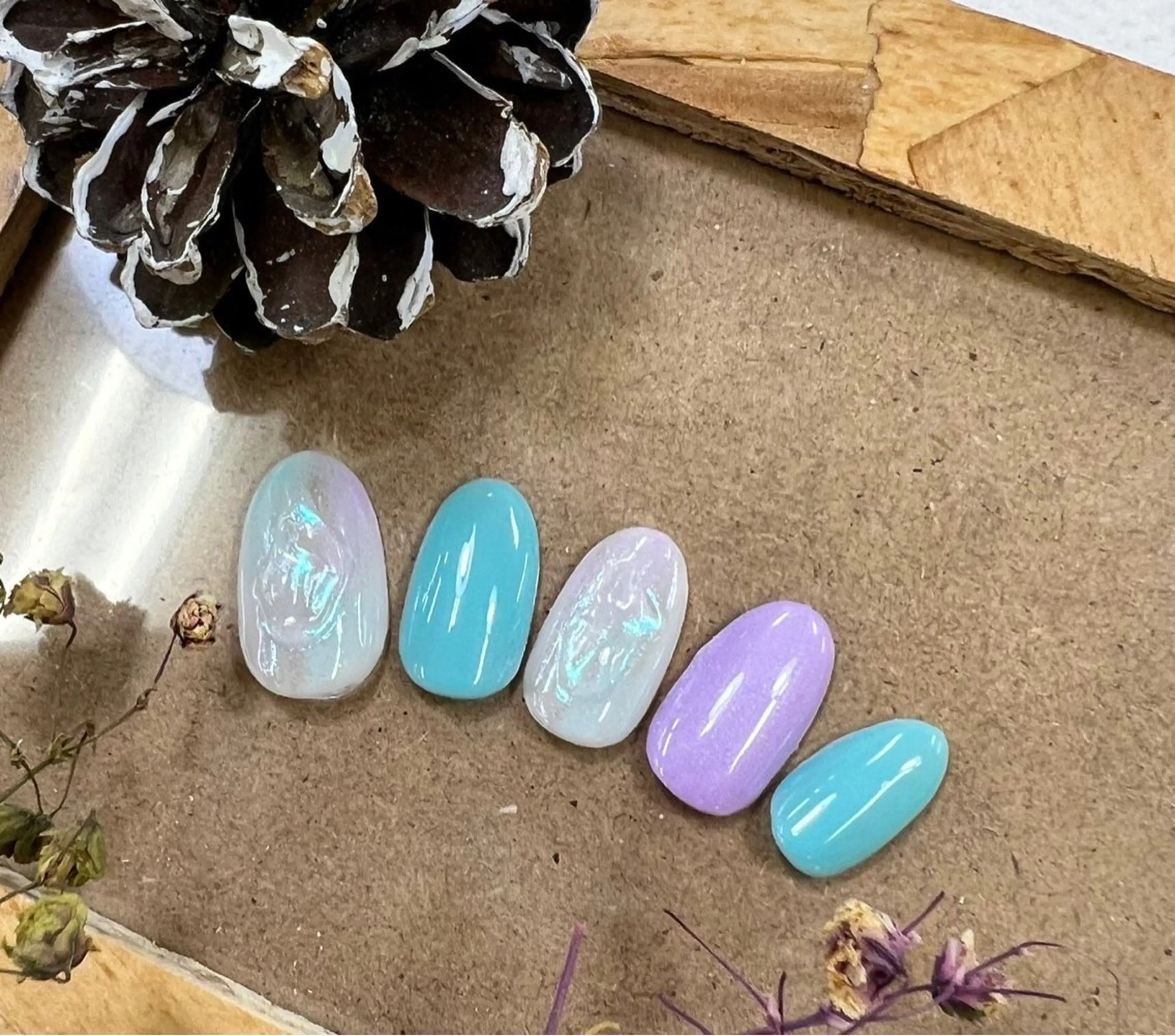 ネイル アートネイル ニュアンスネイル ネイルチップ ⭐︎休業中の練習⭐︎ JNA認定講師髙橋のネイルデザイン