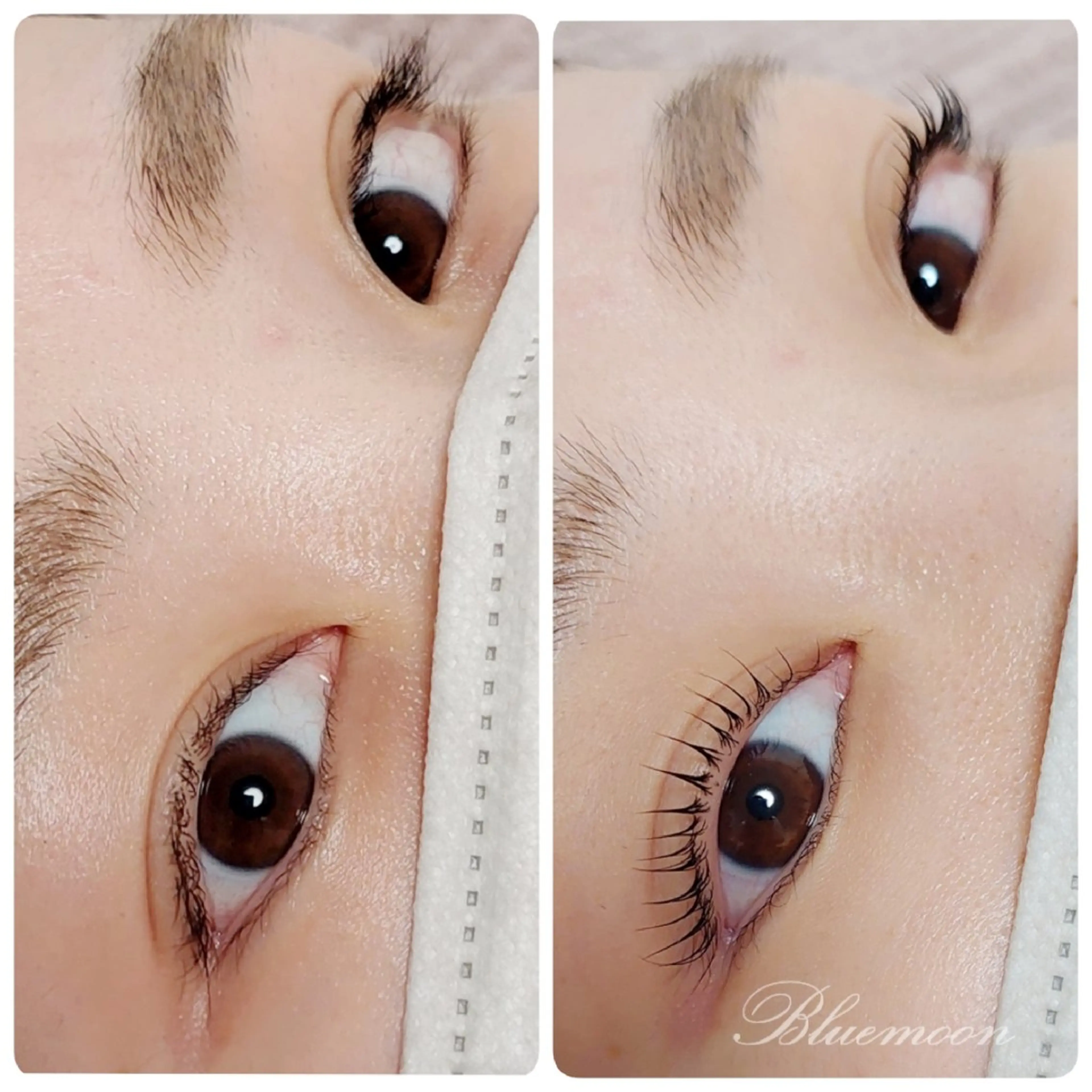 マツエク・マツパ 束感まつ毛 韓国風マツエク 一重×まつ毛パーマ Bluemoon所属・Blue moonのマツエク・マツパデザイン