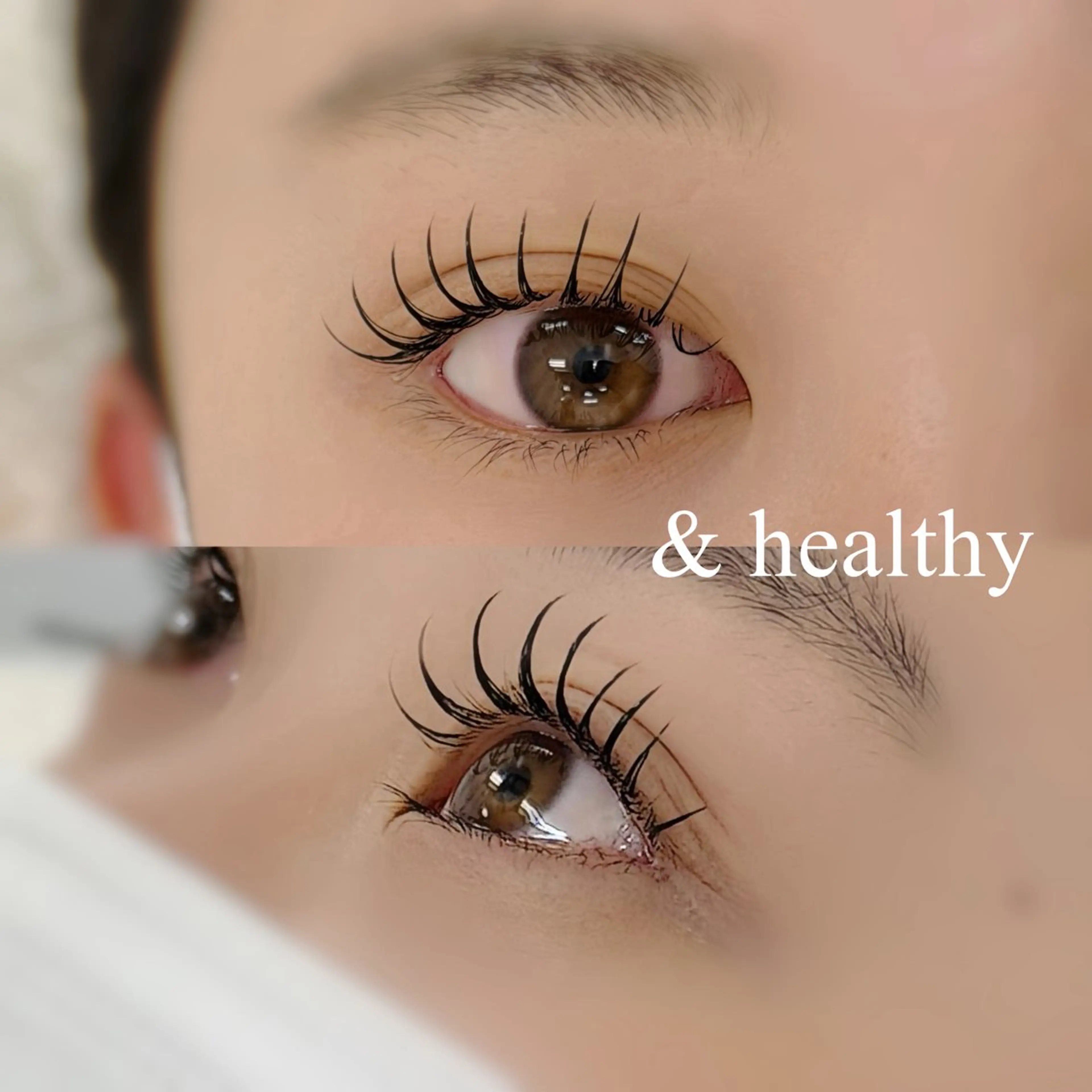 &ヘルシー🌹　80本の写真