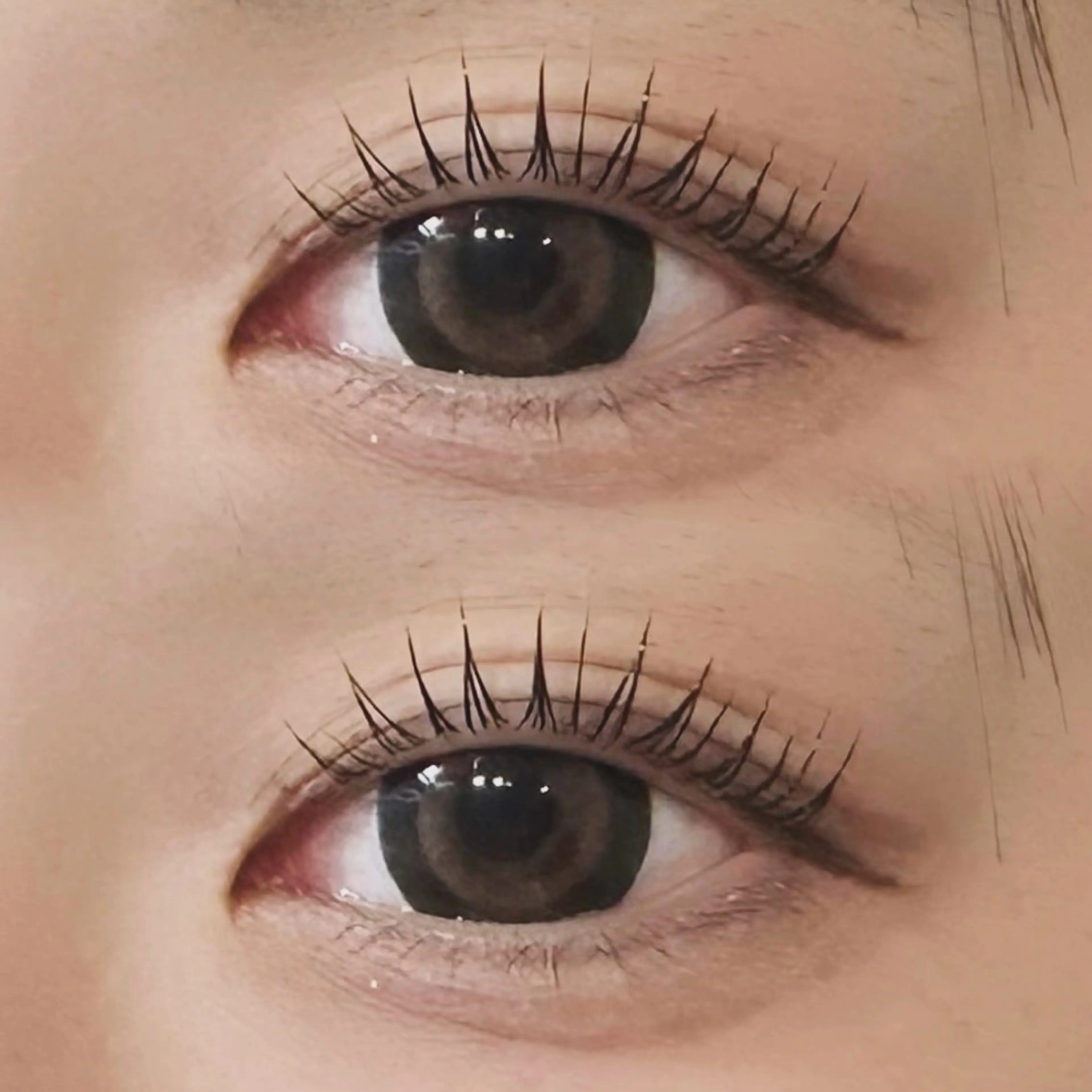 【ご新規様🤍】パリジェンヌラッシュリフト＋美容液コーティング🎶の写真